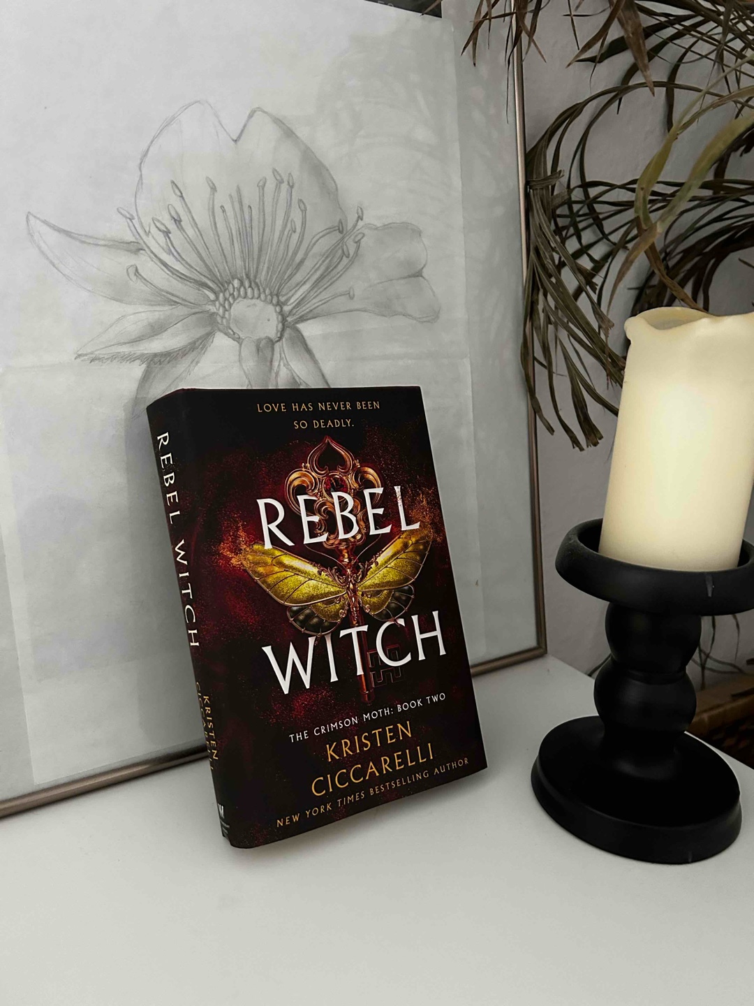 Favorite book series of the year?!