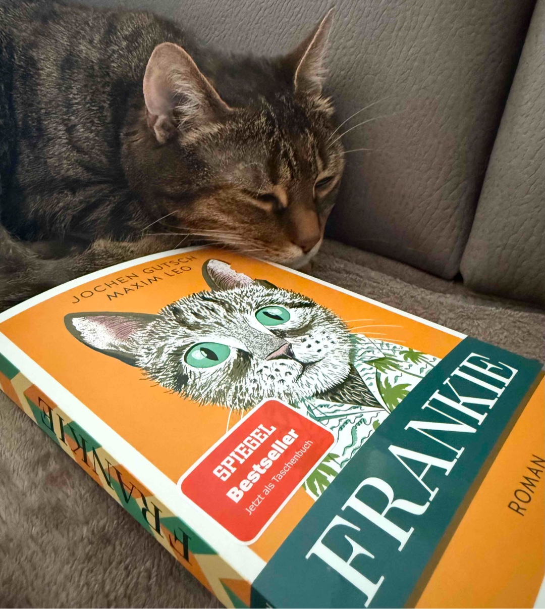 Über den Sinn des Lebens … 🐈