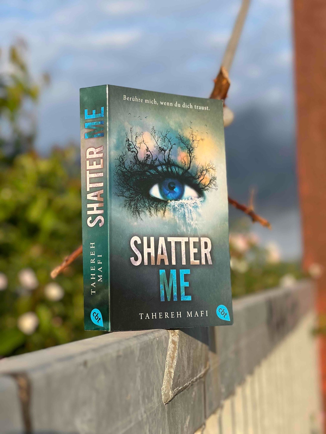 „Shatter Me“ überzeugt mit einem ungewöhnlichen Stil und fesselnder Handlung. Ein Buch, das neugierig auf mehr macht.
