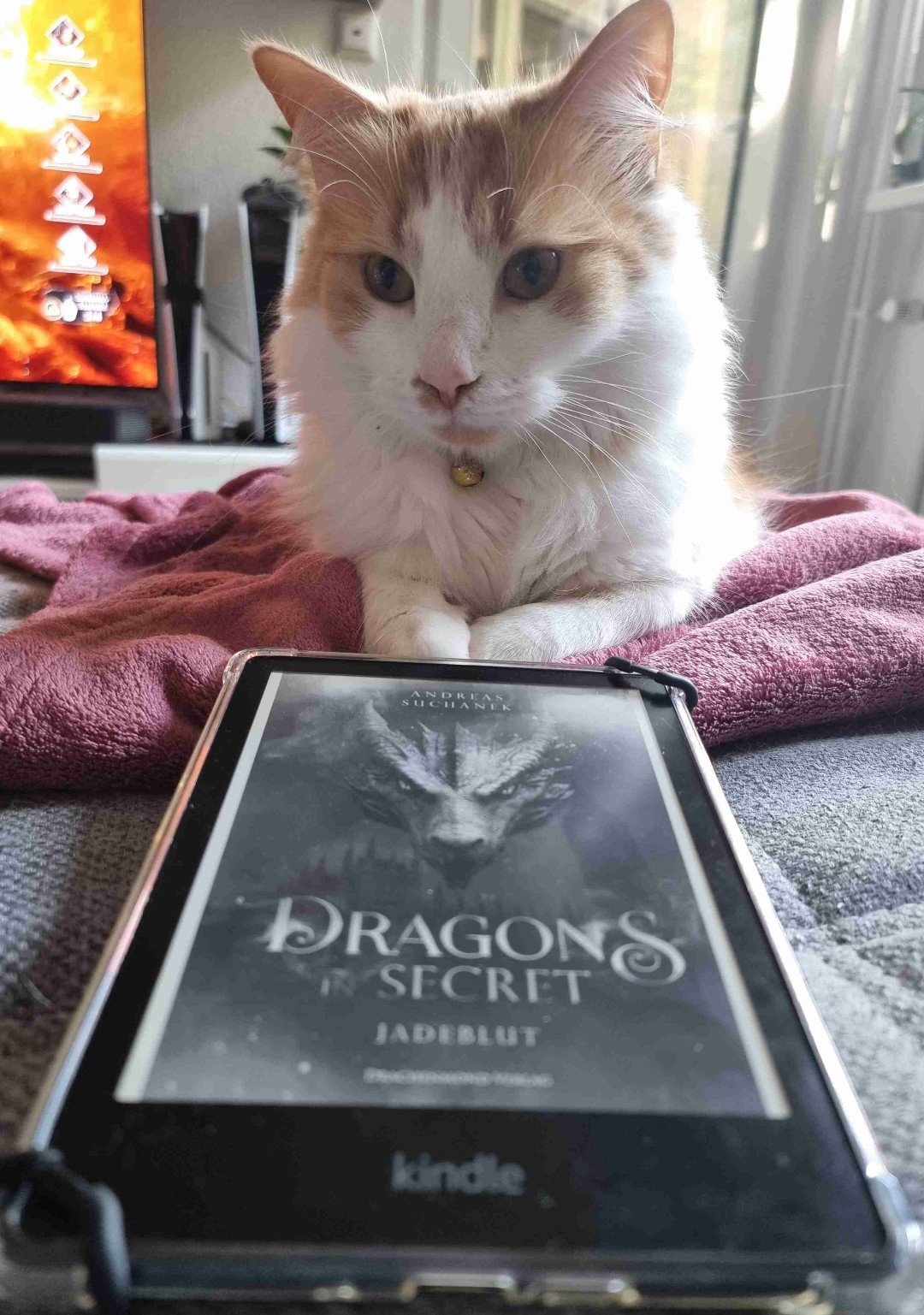 Ein Buch für jeden drachen fan