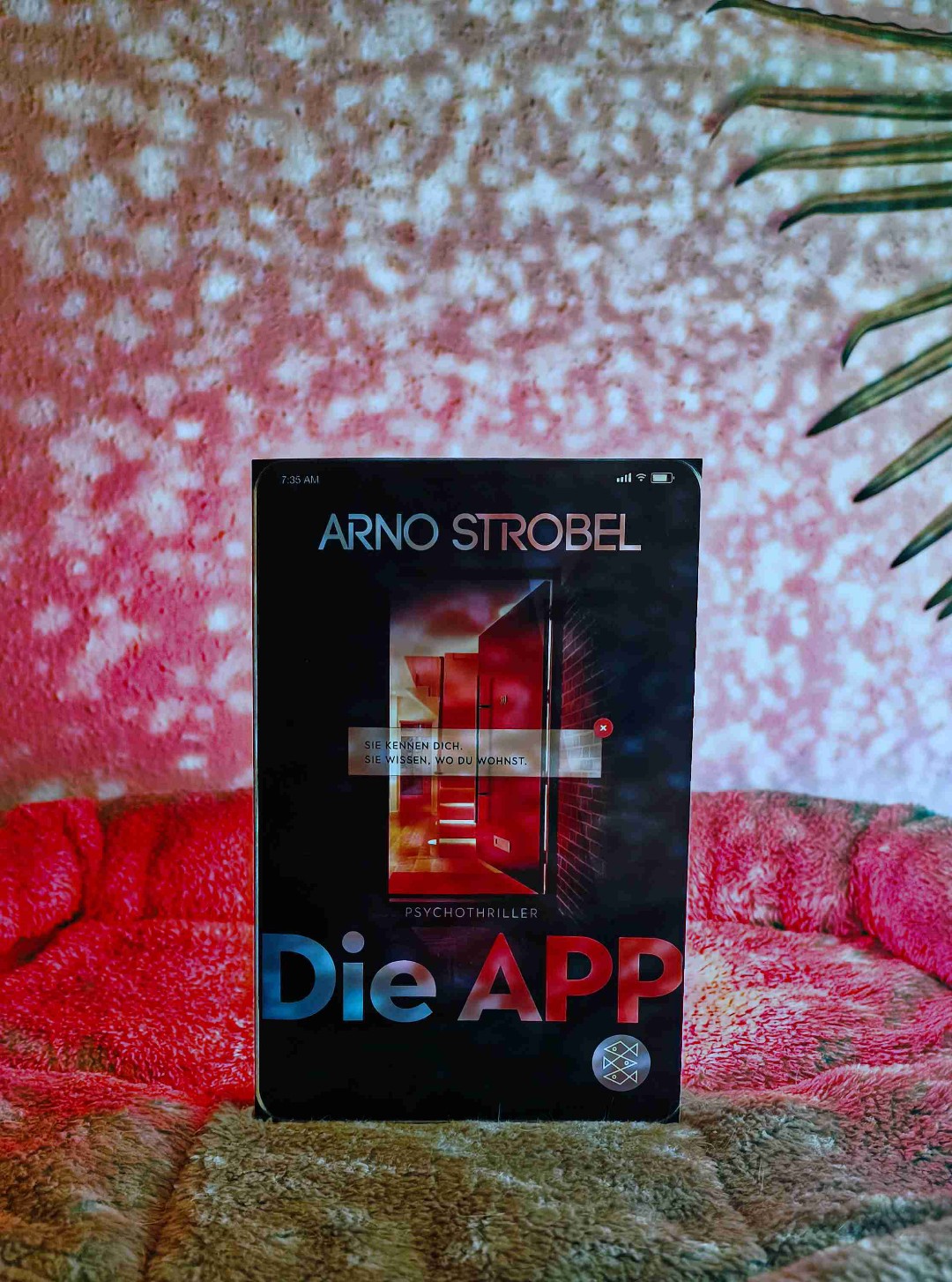 Klapperige Berghütte, die beinah auseinanderfällt, oder ein hochmodernes Haus mit hochmodernem Sicherheitssystem, das du über eine App steuern kannst? Ganz klar... Die Berghütte! Und wir tun jetzt mal so, als ob ich das schon vor dem Buch so gedacht hätte.