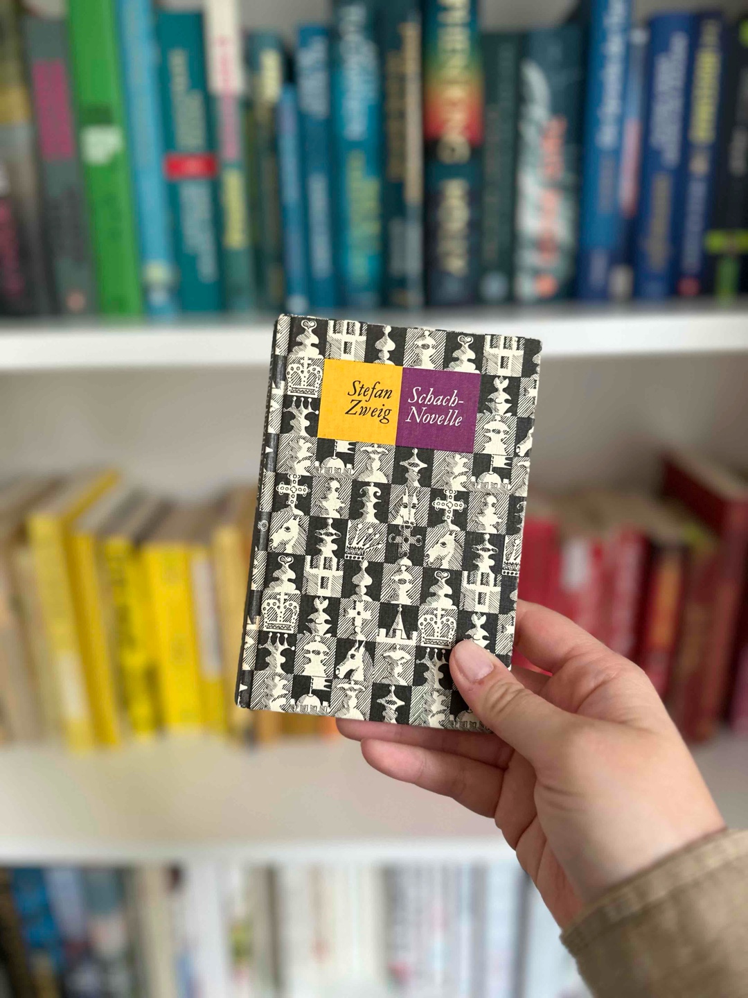 Kurzes, aber starkes Buch ♟️
