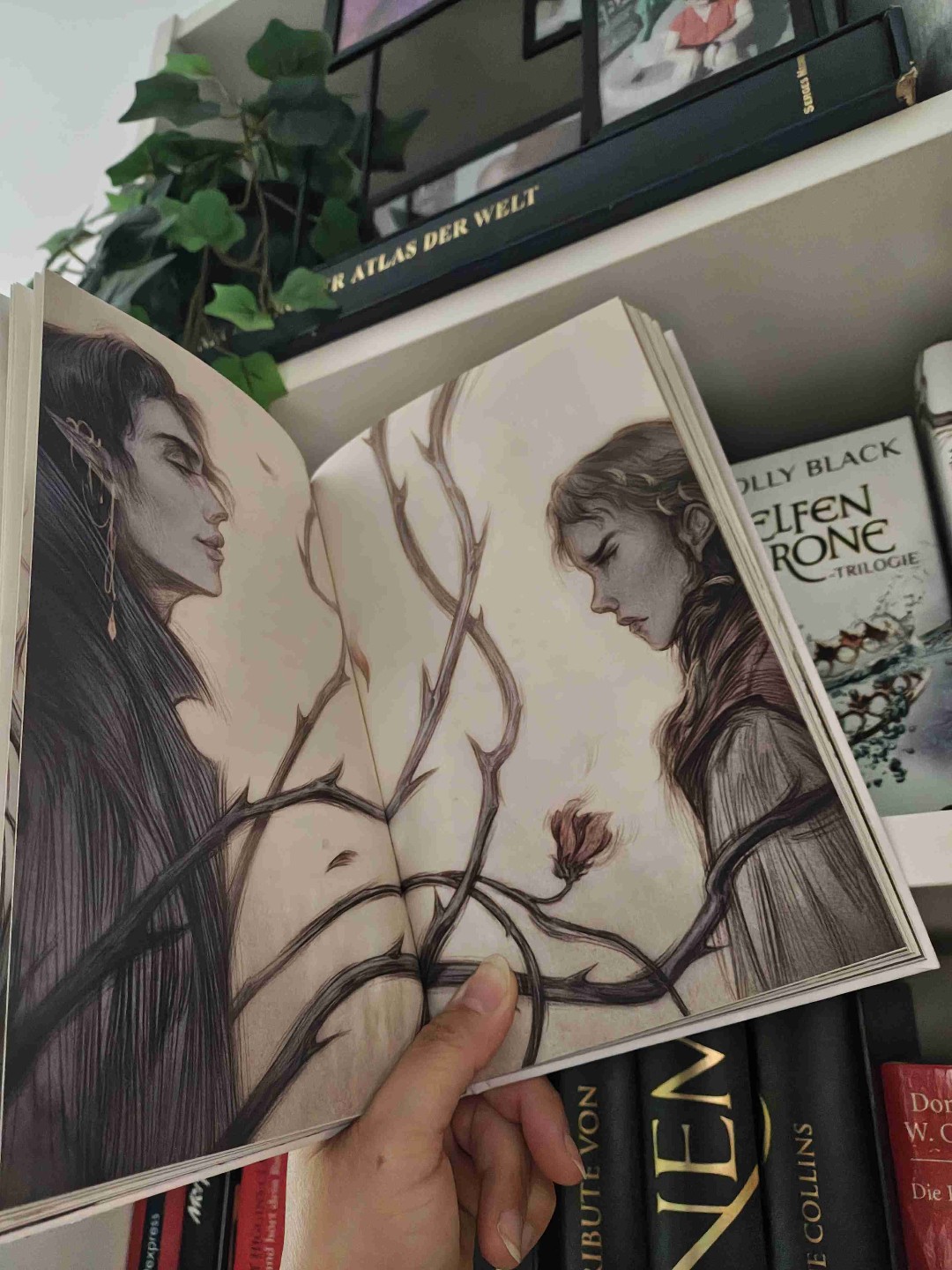 Schöner Abschluss einer fantastischen Buchreihe