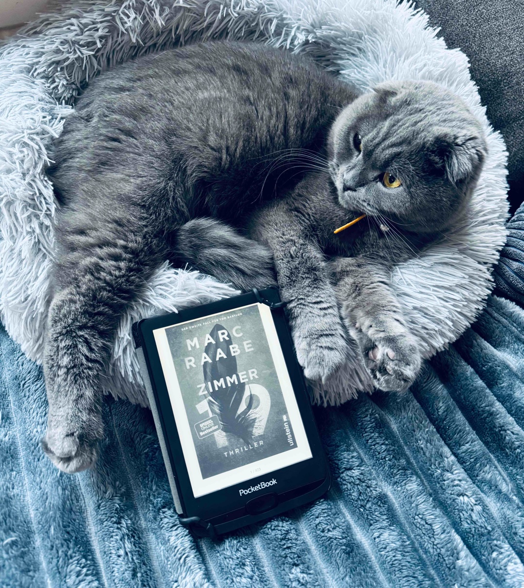 1️⃣9️⃣ 🪶 ~ MORD VOR LAUFENDER KAMERA…