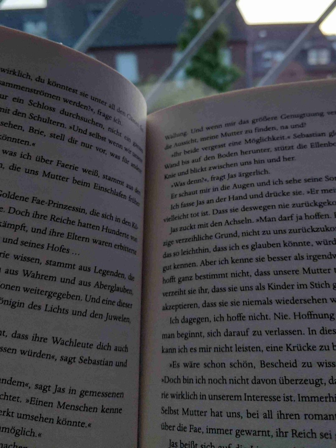 Super Romantasy Buch mit ein bischen Spice und einigen Plottwists❤️