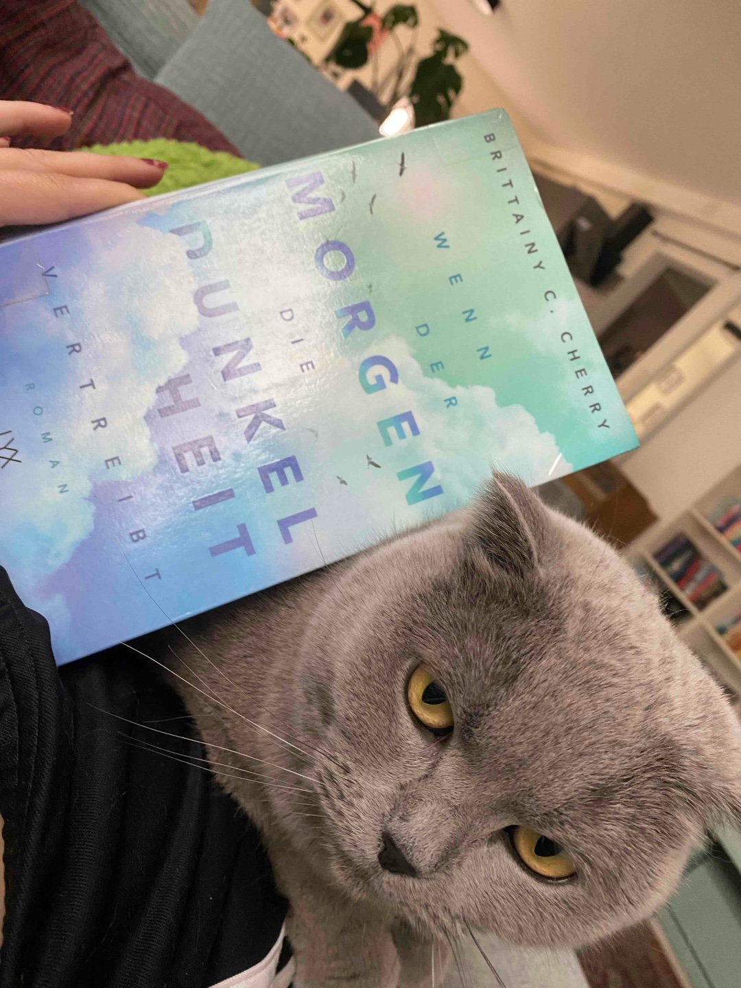 Selten so geheult bei einem Buch!