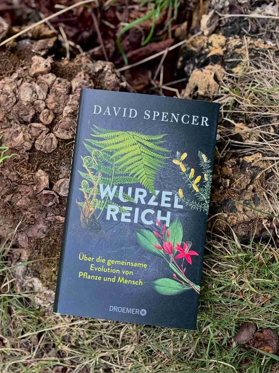 Grüner wird’s nicht – Pflanzen, die mehr draufhaben als du denkst!