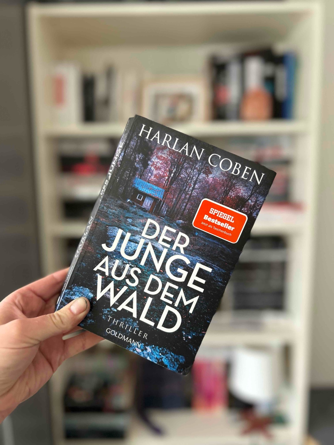 Der Junge aus dem Wald / Harlen Coben