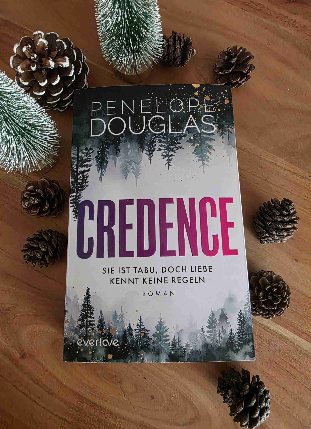 CREDENCE 🤍 ich mochte dieses Buch!!!