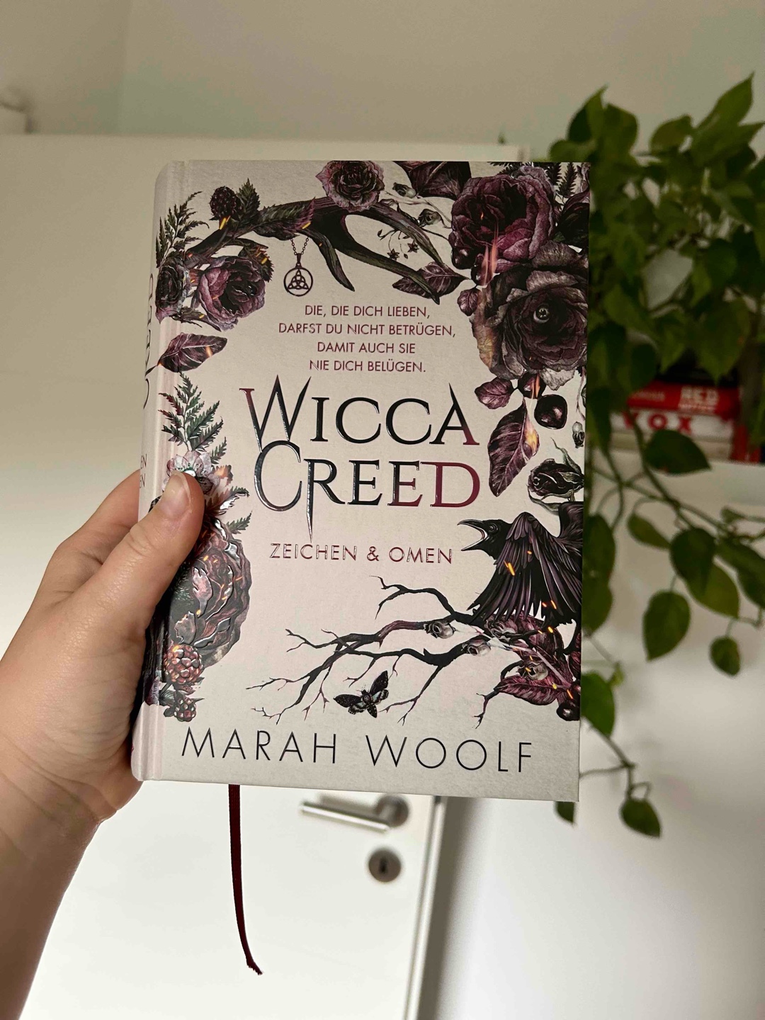 Willkommen in der Welt von Wicca, Stagoi und Hexen 🪄