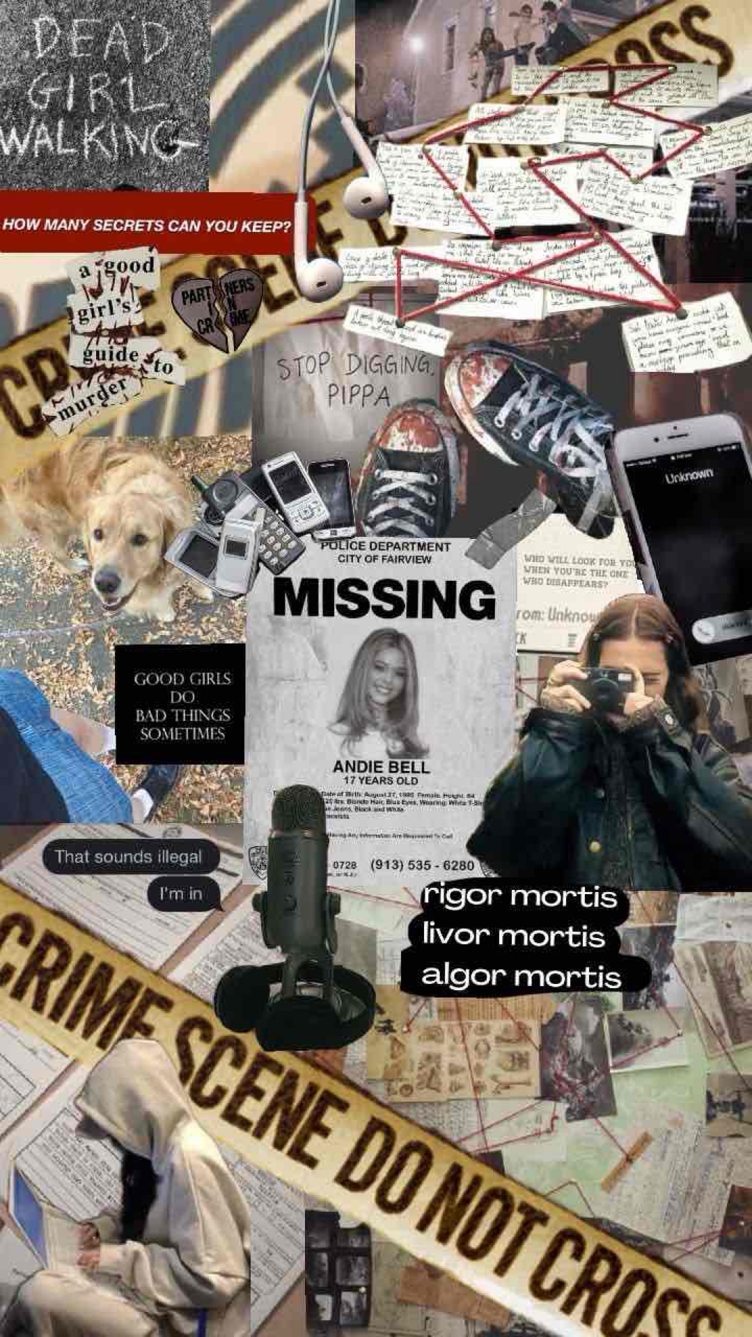 A MUST READ FOR ALL MYSTERY FANS!