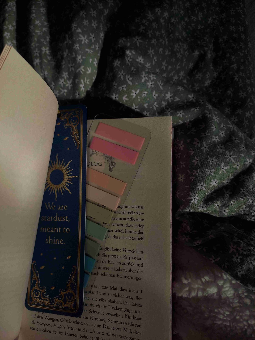 Wie jedes von Merits Büchern, war das einfach wieder was besonderes. Es gab vieles was ich am anfang nicht verstanden habe und Elemente die ich nicht mochte, aber alles war im Endeffekt so so wichtig. Keatons Schmerz; Kennas Unsicherheit. Beide ergänzen sich zu etwas positivem. Beide sorgen dafür, dass sie zur am-schönsten-anfühlenden Version von sich selbst werden. Und genau das liebe ich an Merits Büchern.  Es war ein perfektes Ende für die Evergreen Reihe, und wer weiß...vielleicht bekommen wir auch ein Bücher Theo?🫶🏻