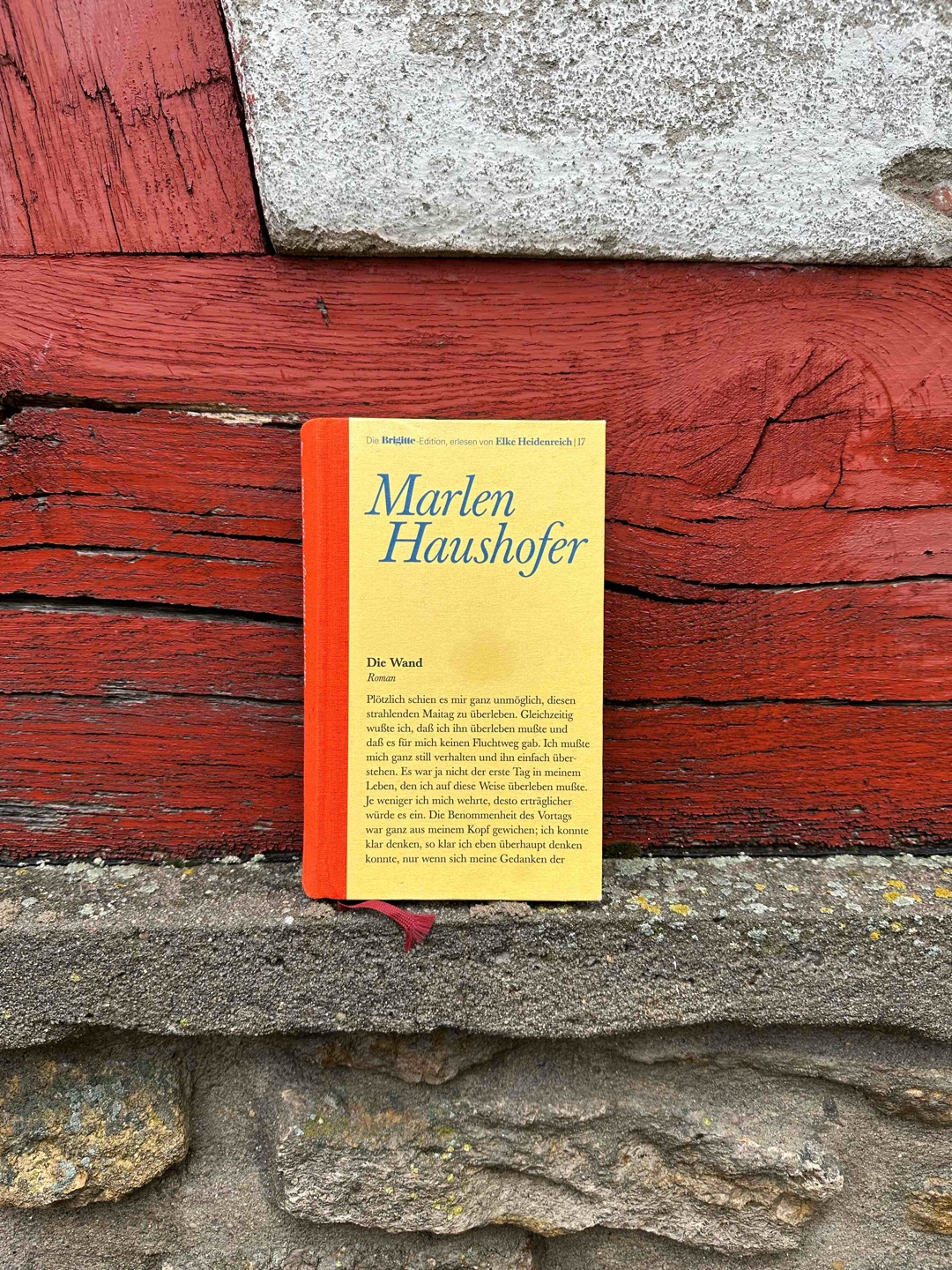 „Durch die Wand wurde ich gezwungen, ein ganz neues Leben zu beginnen, aber was mich wirklich berührt, ist immer noch das gleiche wie früher: Geburt, Tod, die Jahreszeiten, Wachstum und Verfall.“