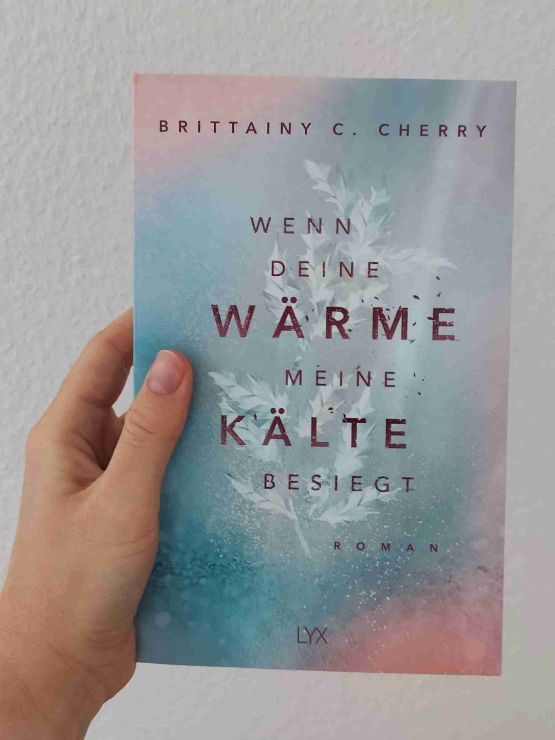 Schöner Liebesroman für zwischendurch💕