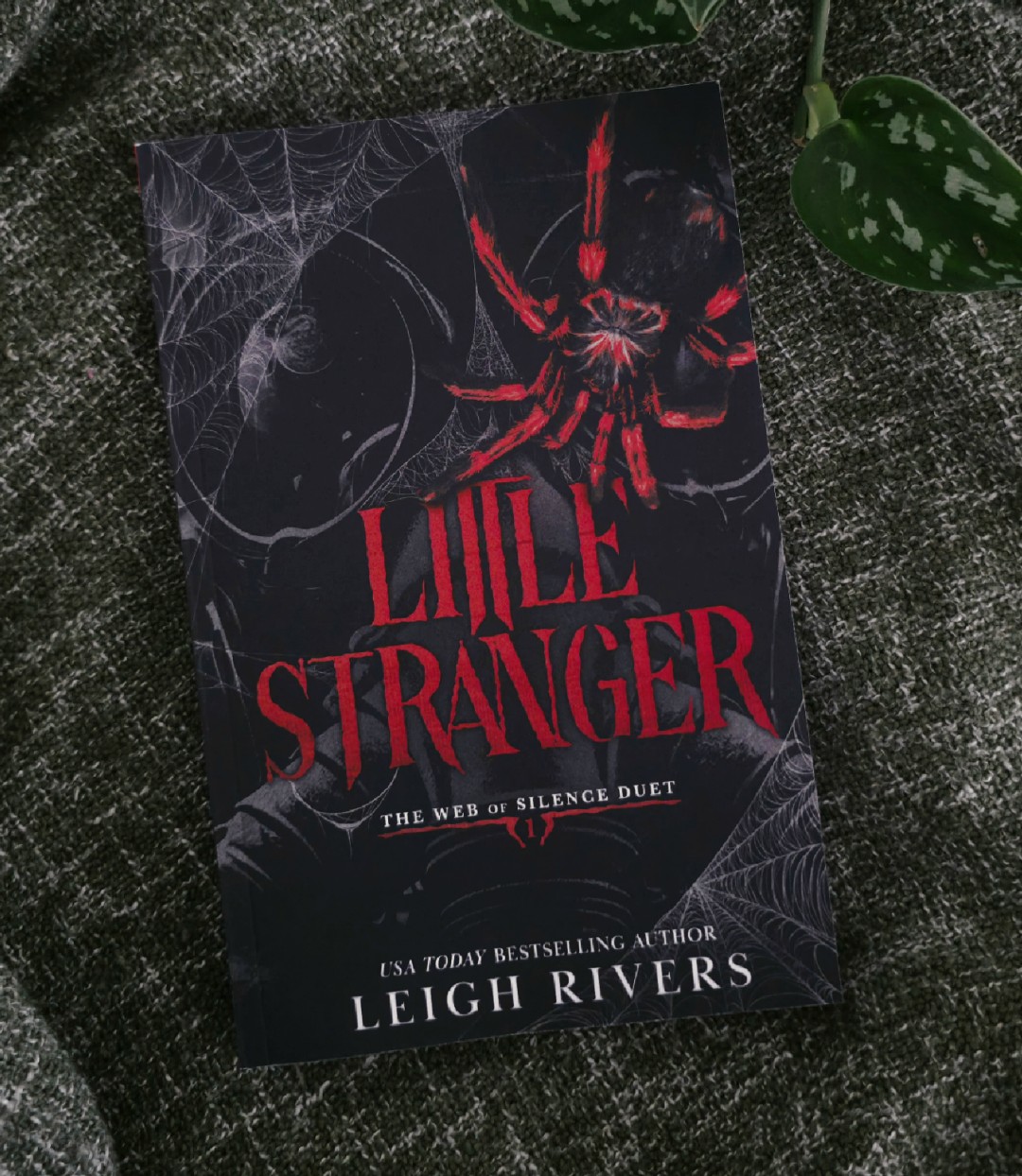 Run, Little Stranger