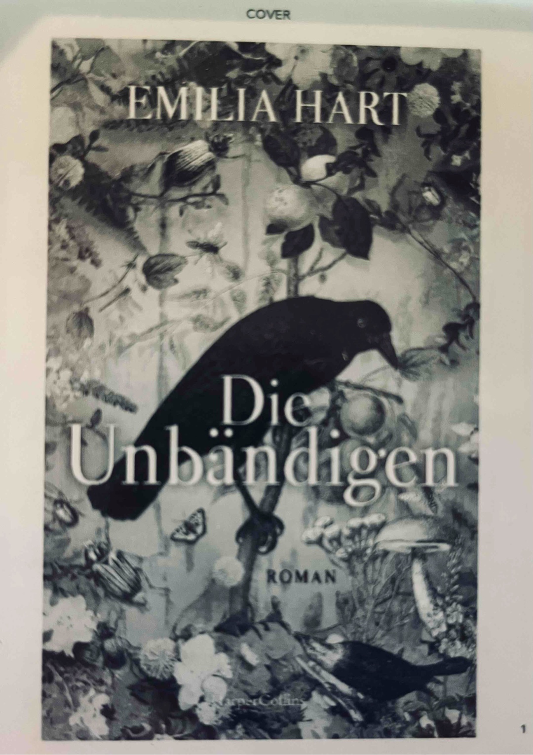 Spannend, magisch, mystisch, tragisch…ein Buch mit vielen Facetten