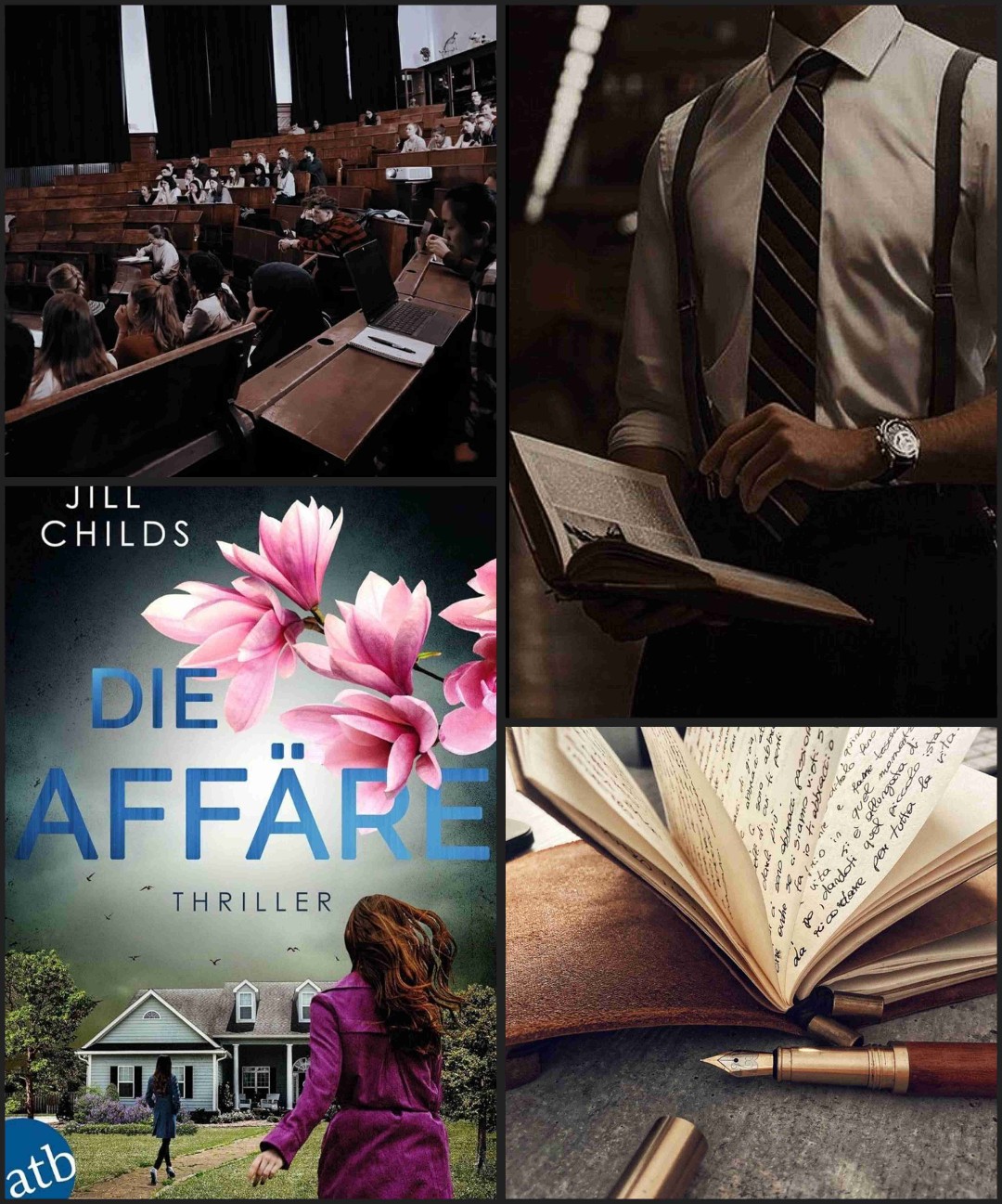 Die Affäre (Thriller)