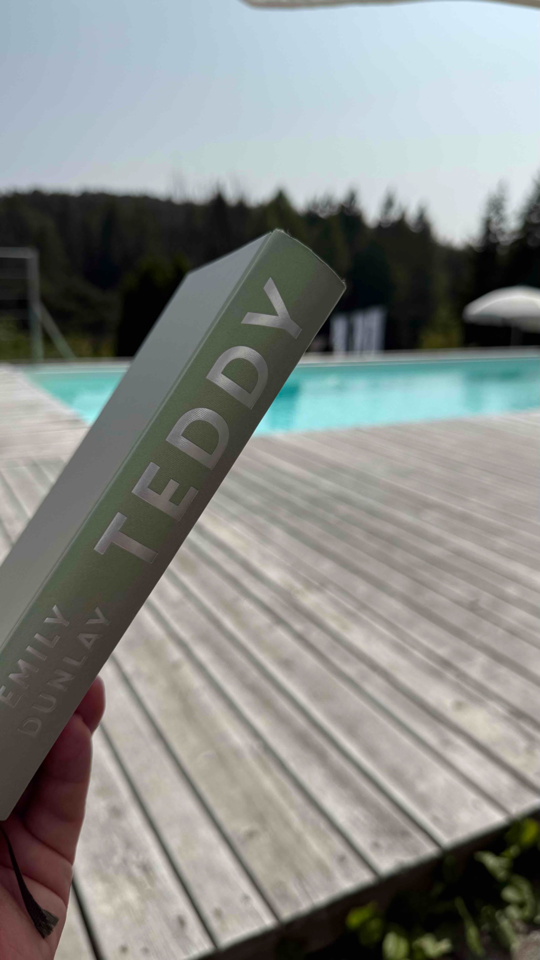 Teddy; viel Geld und doch keines; viele Möglichkeiten und doch keine; und wenn, dann die falsche Wahl. Letztlich aktuell wie nie, wenn man gesellschaftliche Entwicklungen, beispielsweise in den USA anschaut. Erstaunliches Debut der Autorin.