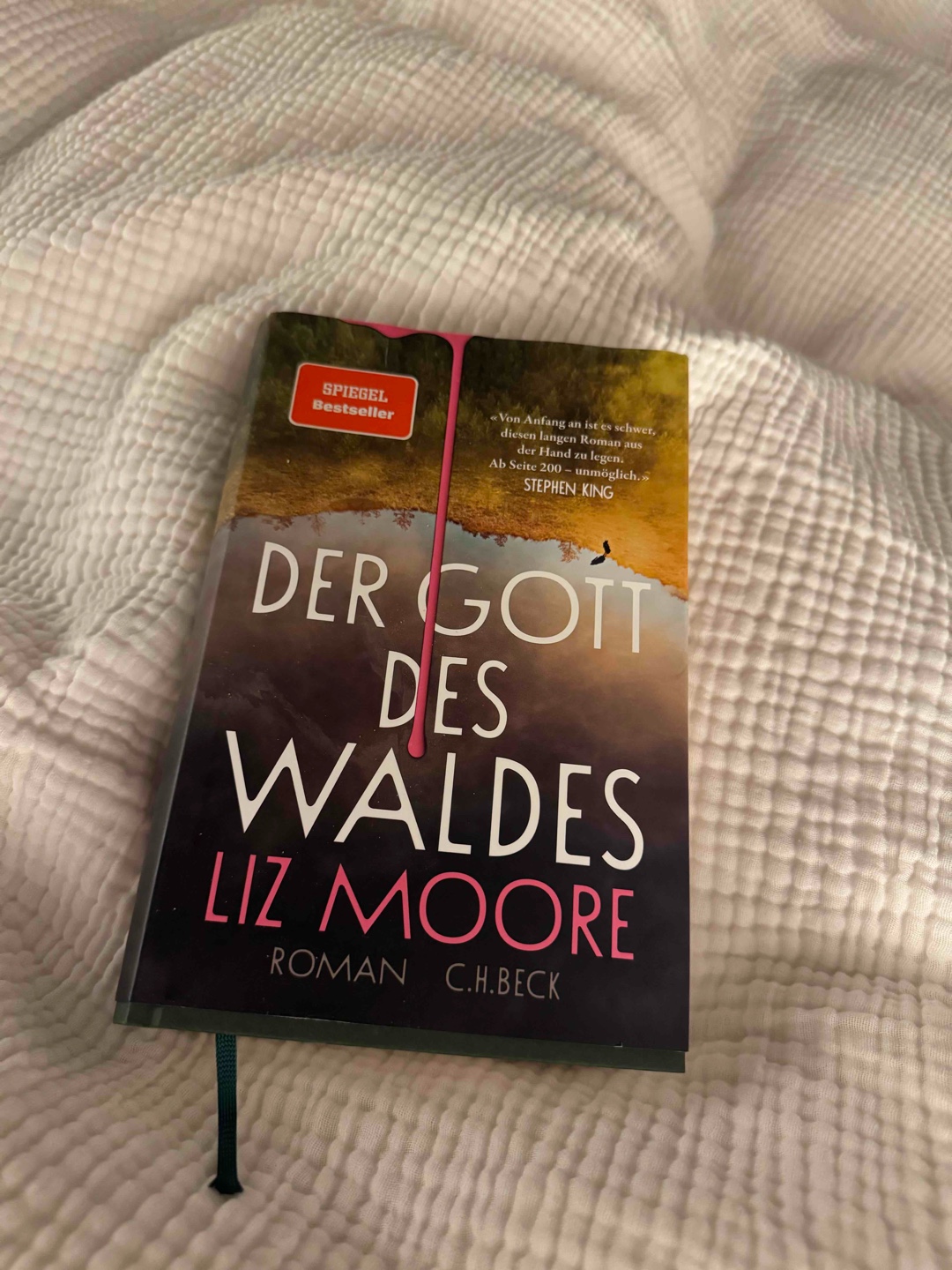 Fazit: Der Gott des Waldes ist kein Schnell-Lese-Thriller, sondern ein tiefgründiger, dichter Roman, der Geduld fordert, aber durch eine dichte Atmosphäre, psychologische Tiefe und ein starkes Finale überzeugt. Wer sich auf eine anspruchsvolle Lektüre einlassen kann und nicht sofortige Spannung erwartet, wird mit einem besonderen Leseerlebnis belohnt. Für Fans anspruchsvoller Spannungsliteratur definitiv eine Empfehlung – aber mit der Warnung: Durchhalten lohnt sich!