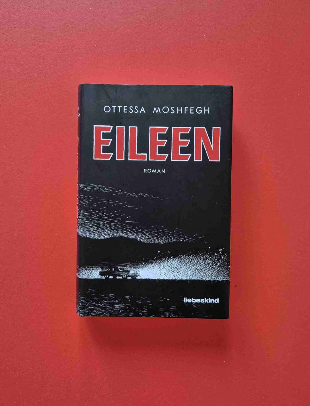 Leider hat mir dieses Buch nicht gefallen. Es geschieht sehr wenig und die Gedankengänge der Protagonistin, welche das Buch ausmachen, haben meine Stimmung stark heruntergezogen.