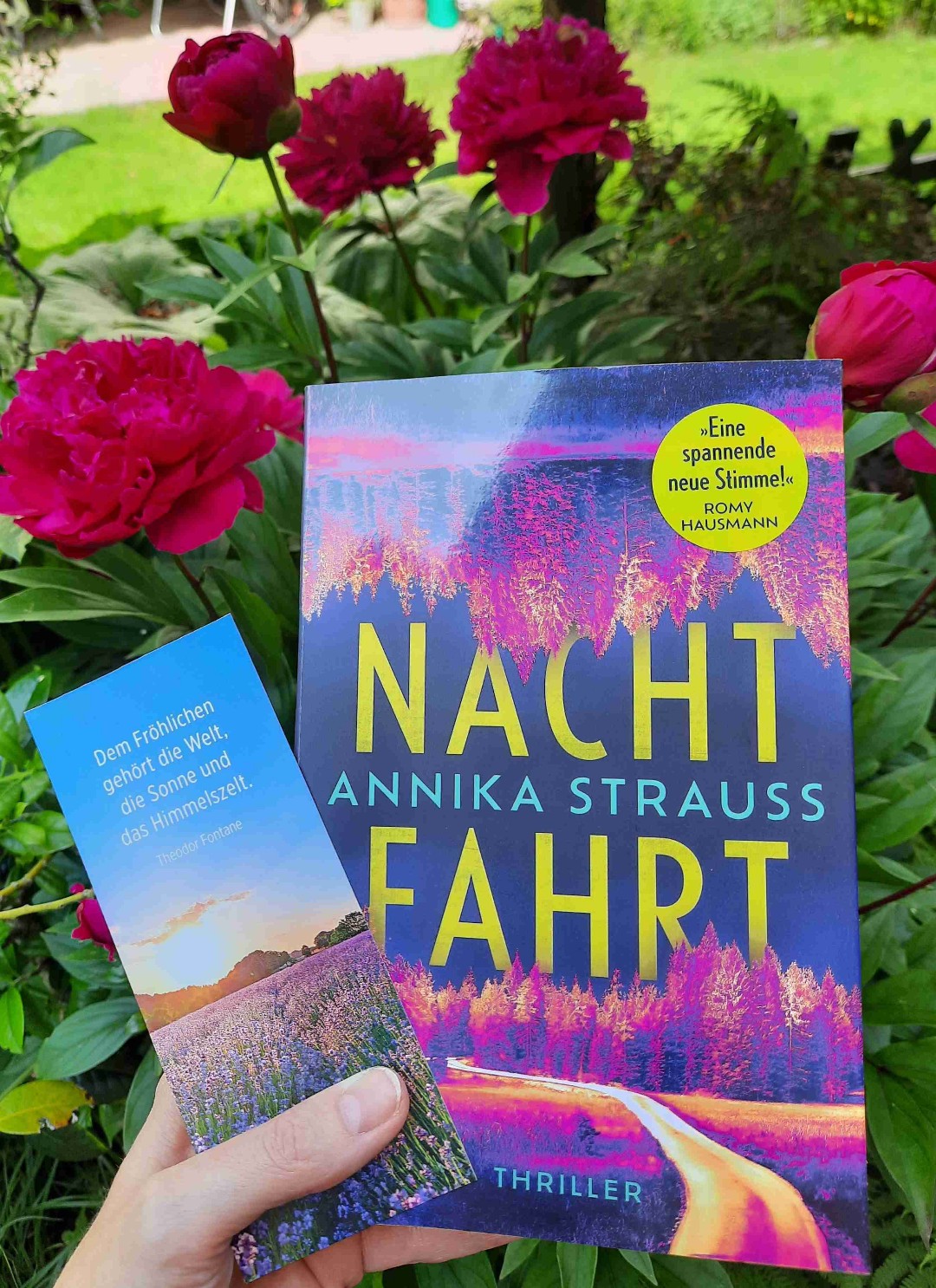 Eine rasante Nachtfahrt ohne Stehzeiten - und daher ein absolut gelungenes Thriller-Debüt der Autorin! 📚👏🏼😍
Mit kurzen, knackigen Kapiteln wird man durch die Geschichte geführt, die auch ein sehr interessantes, eher ungewöhnliches Setting - eine Fahrschule - hat. Einige Cliffhanger haben mich veranlasst, das Buch nicht aus der Hand zu legen. Ganz nach dem Motto: "Nur noch ein Kapitel ..." 😁😅 
Ganz großes Lob für das gelungene Cover 🤩🤩, das mir mit dem farbigen Schnitt richtig gut gefällt!
Volle Punktzahl daher nicht nur für den Inhalt, sondern auch für die Aufmachung des Buches! 😍🌟🌟🌟🌟🌟

