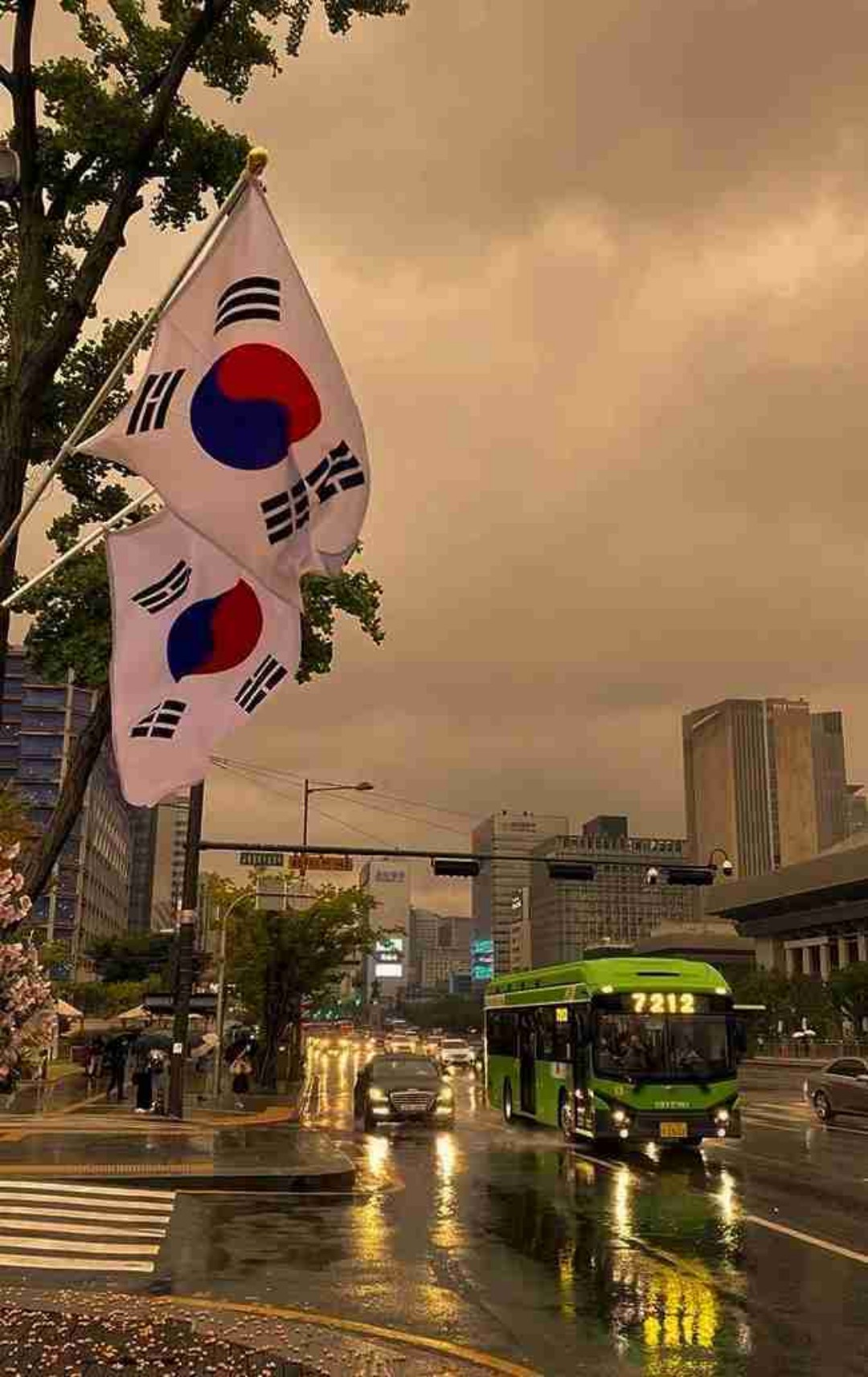 Wirklich schöne Geschichte. Hat mir sogar mehr gefallen als ich erwartet hatte. Ich liebe das koreanische Setting und den Einfluss der Idol/K-Pop Kultur.