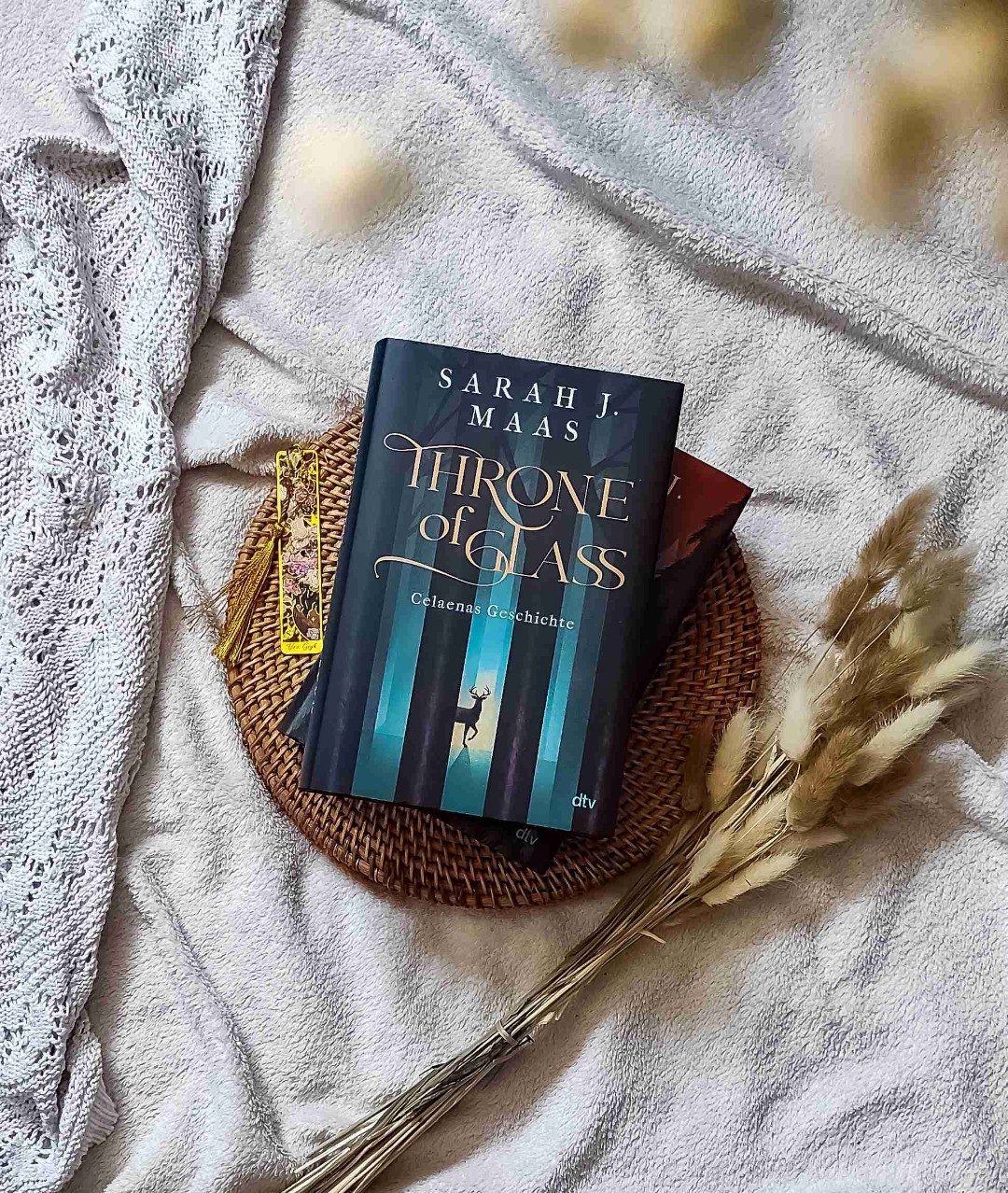 Throne of Glass - Celaenas Geschichte