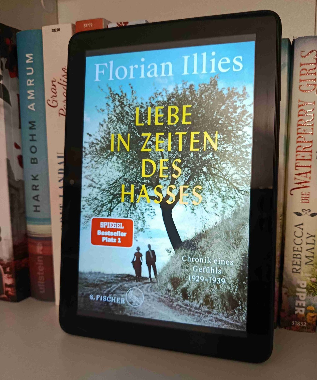 Es war sehr interessant, aber die Liebe blieb für meinen Geschmack etwas auf der Strecke. 
Der Schreibstil ist sehr nüchtern, etwas schwarzer Humor. 
Teilweise kam ich mit den sehr vielen Charakteren, vor allem mit den ganzen Manns auch gern mal durcheinander.
Manchmal wäre weniger eben doch mehr.