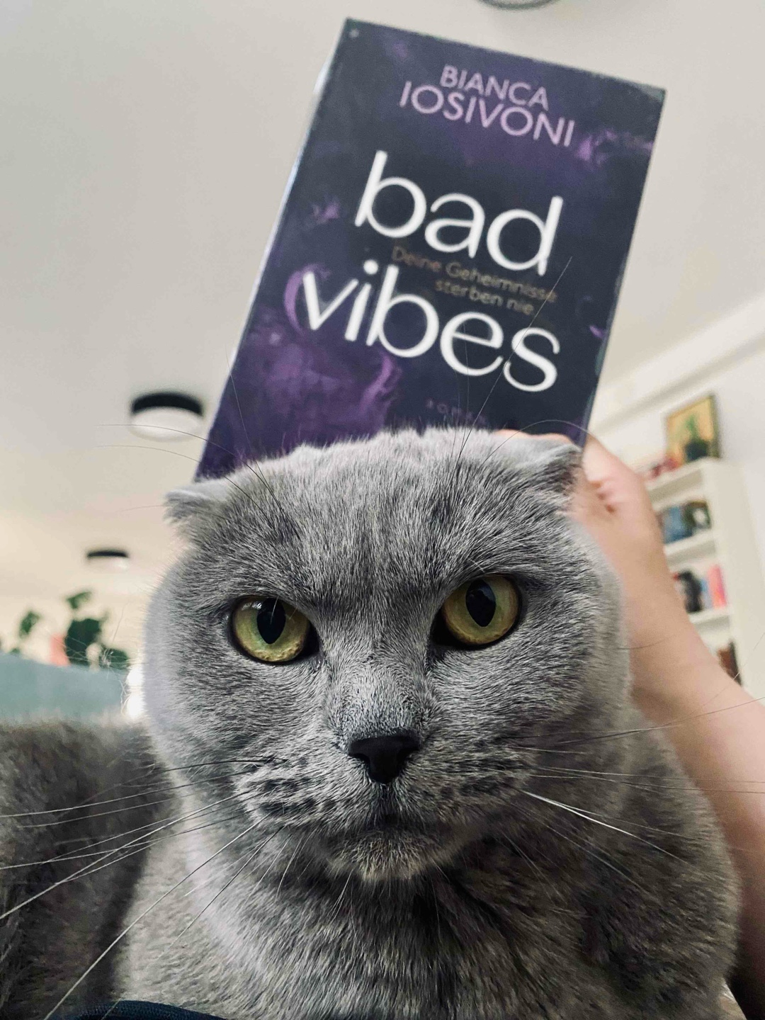 Wie viele crazy Plottwists will ein Buch haben? Bad Vibes so: JA!