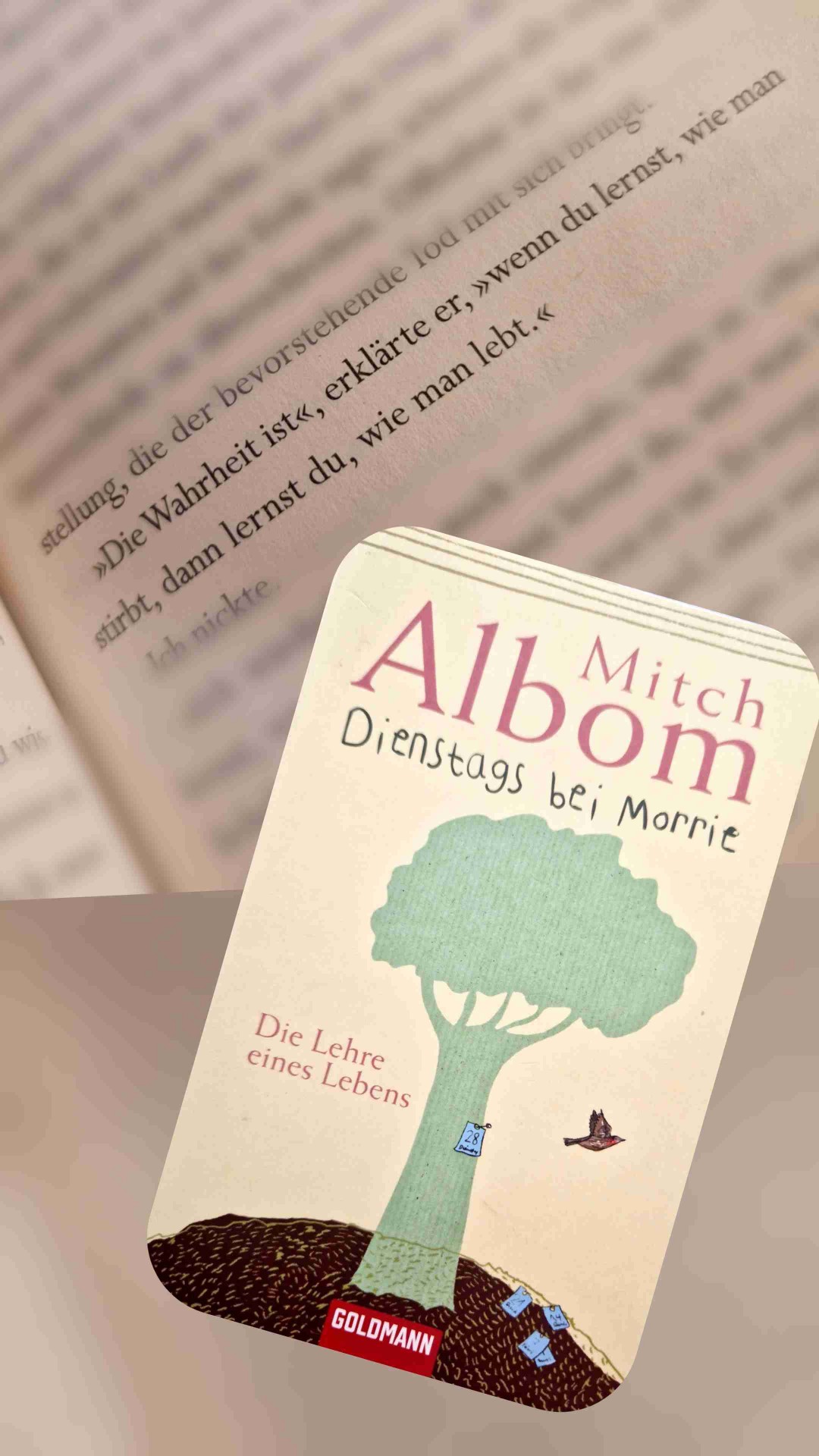 Dienstags bei Morrie ist ein Buch, das man nicht einfach liest, sondern fühlt.
Es lässt einen mit feuchten Augen, aber auch mit einem wärmeren Herzen zurück. Ein Geschenk für die Seele.