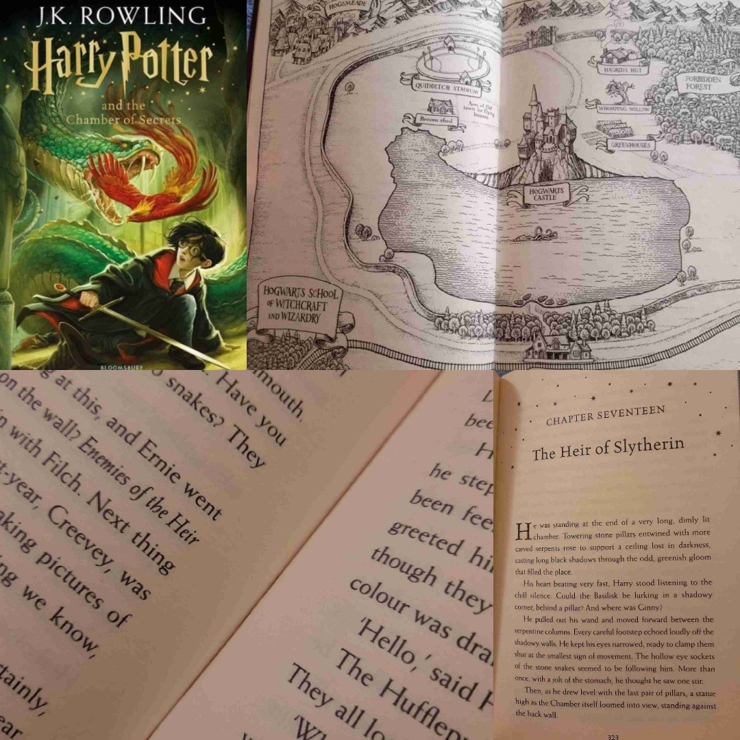 "Voldemort", said Riddle softly, "is my past, present and future Harry Potter..."