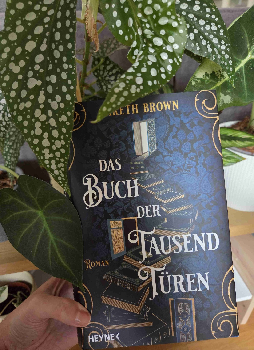An sich eine gute Geschichte.