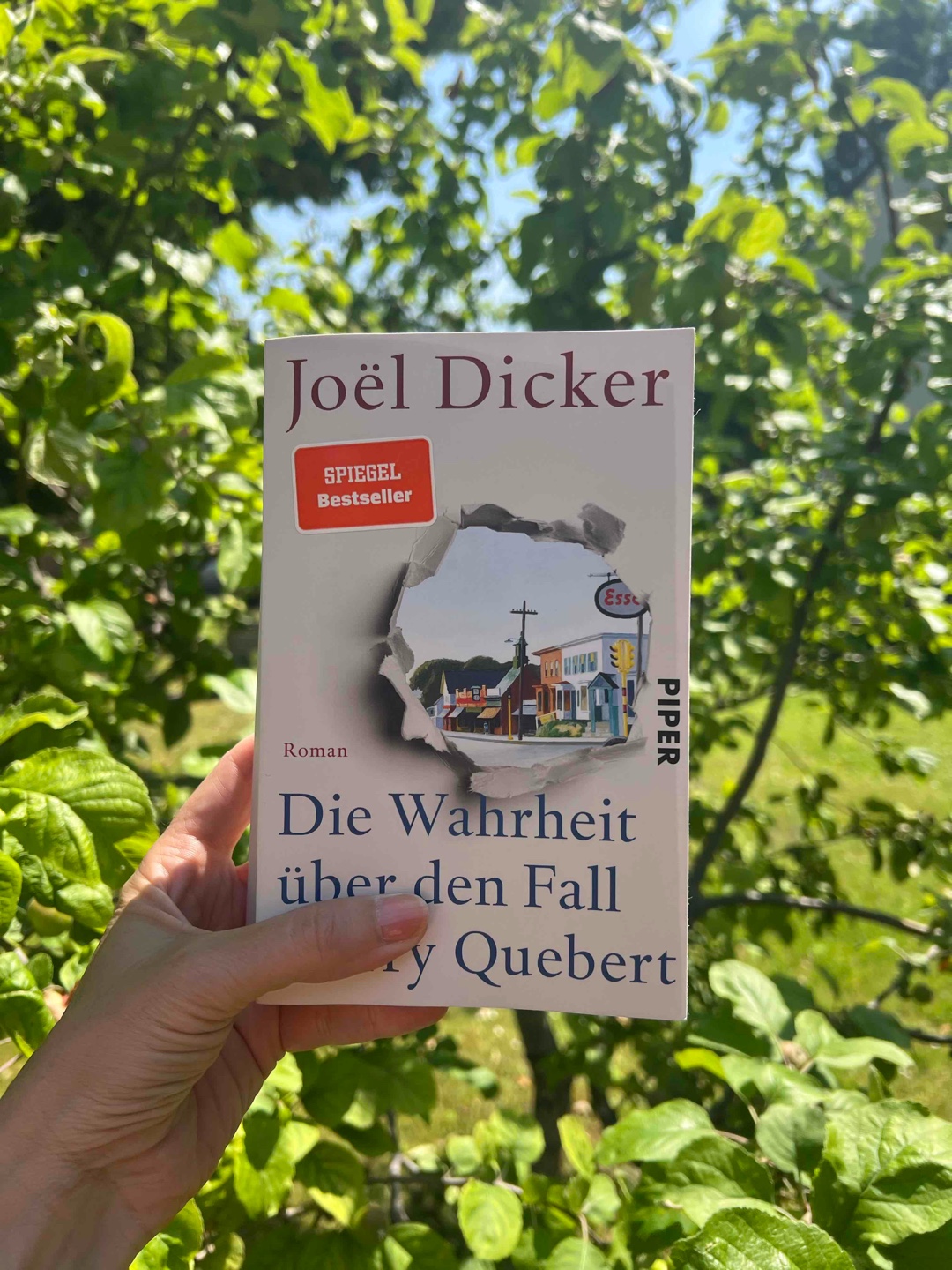 Eine lesenswerte Schwarte!