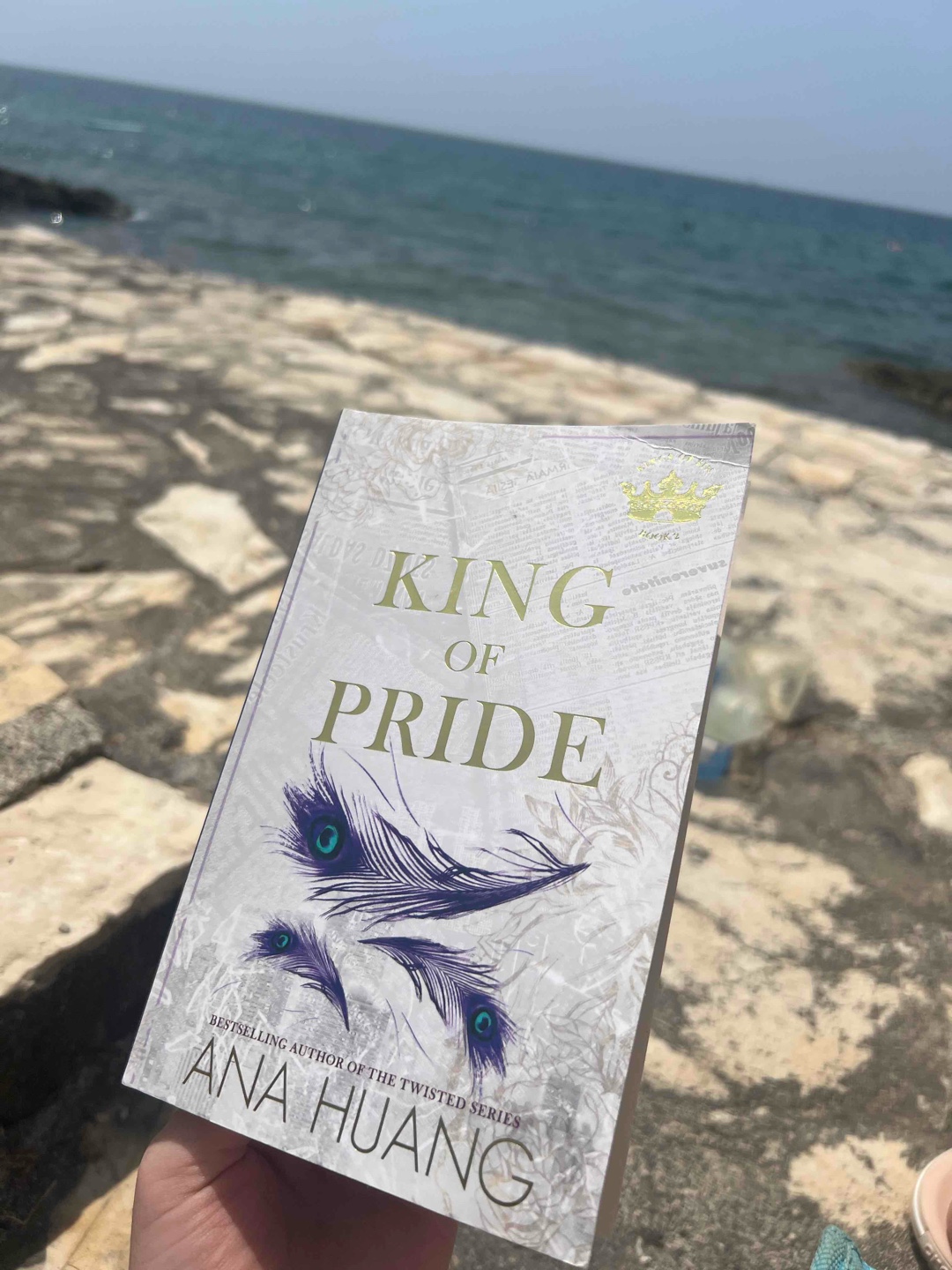 King of Pride hat mir leider nicht so gefallen, und ich glaube, es wird für mich auch das schlechteste Buch aus der King of Sin-Reihe.