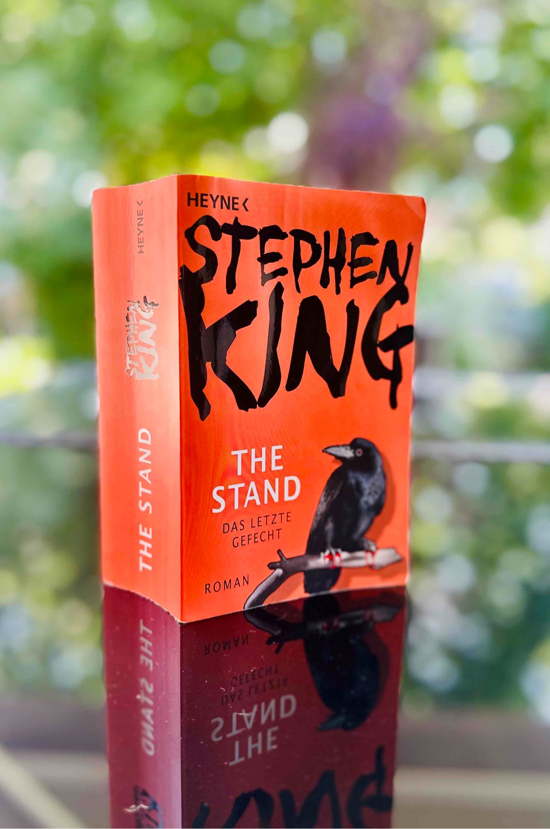 Ein Meisterwerk - The Stand und der Kampf von Gut und Böse…