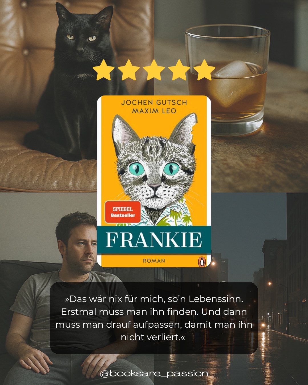 Die Geschichte wird aus Sicht eines Katers erzählt und ich liebe alles daran!