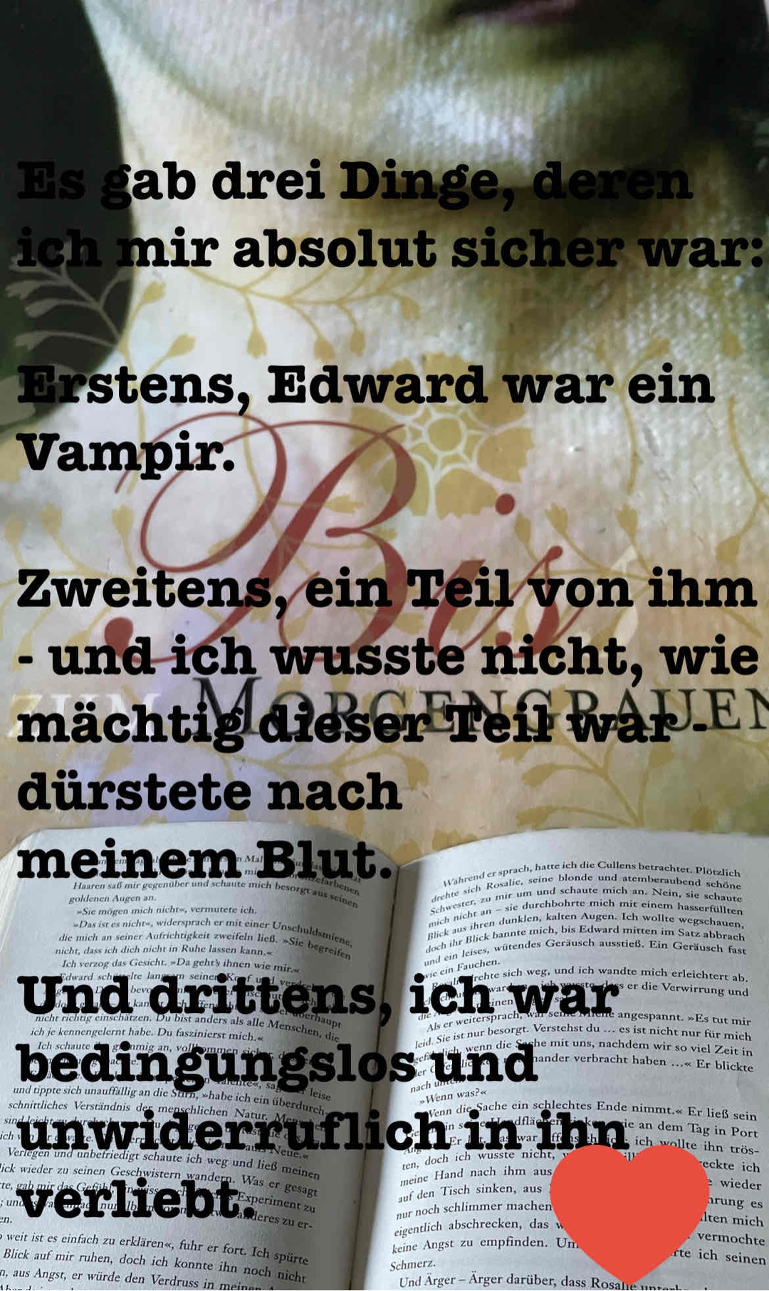 Ich Lese gerade Twilight und ich Lieeeeeebe es jetzt schon ❤️‍🔥