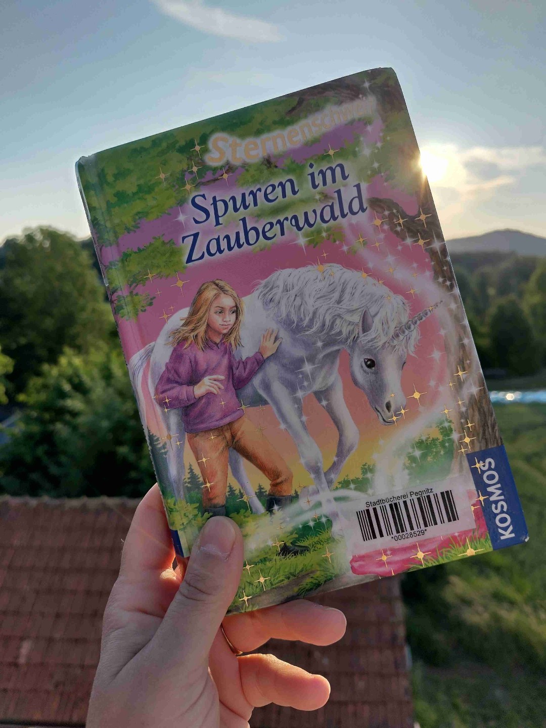 Sternenschweif 🦄💞 Band 11