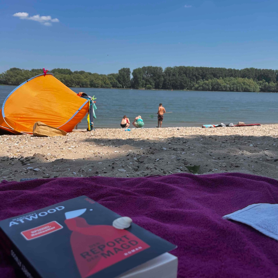 Angesicht der Zensurwelle in den USA und dem zunehmendem Chaos in der Welt ein Buch, welches man gelesen haben muss.