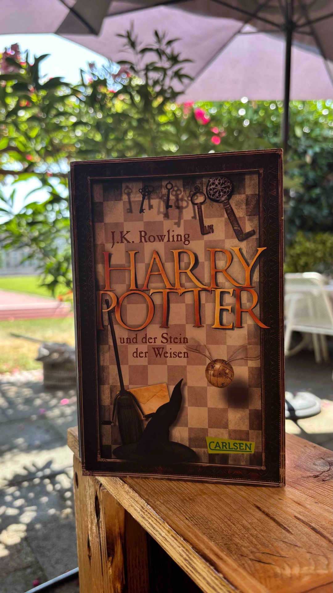 Harry Potter Book Newbie