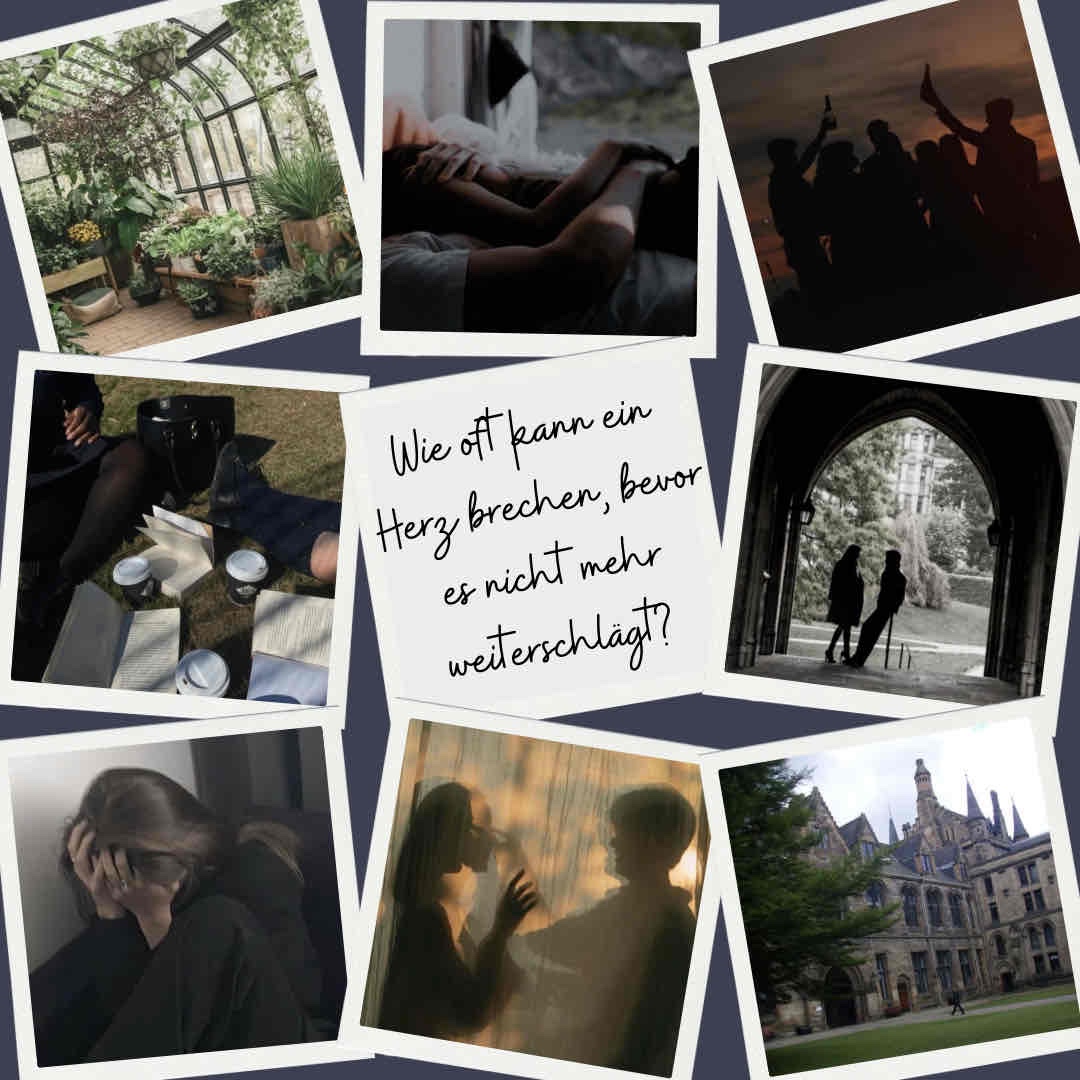 Welcome back at the Dunbridge Academy 🏰