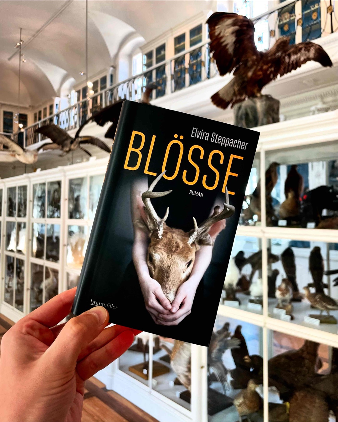 »Immer, wenn Menschen sich der Tiere annehmen, ginge das für die Tiere übel aus.«
