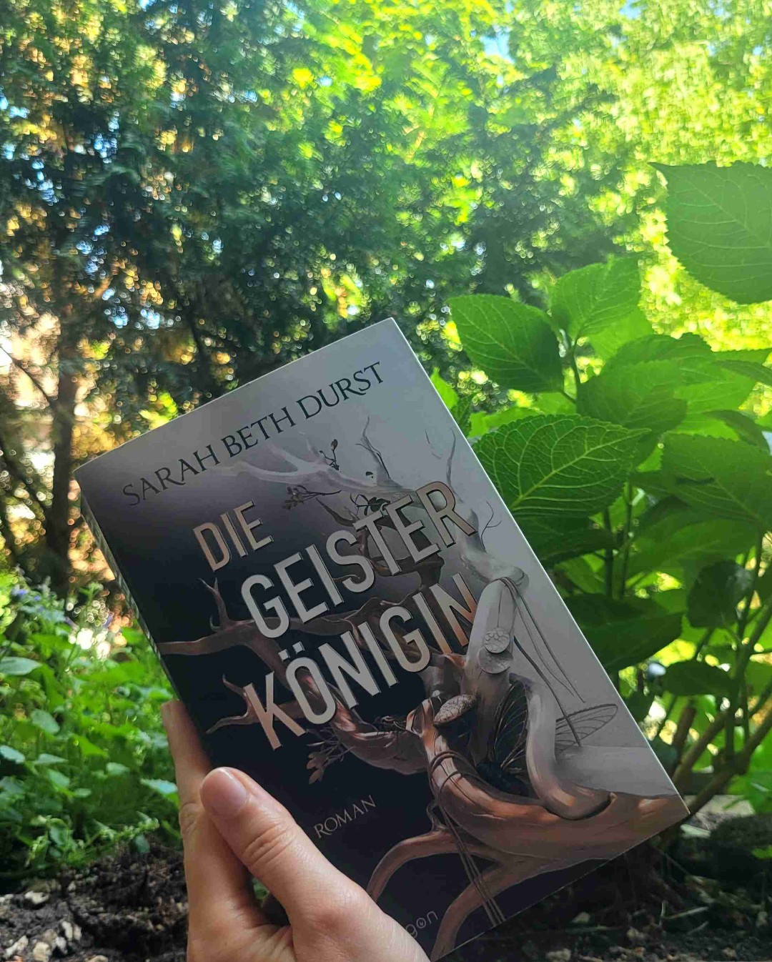 Drei Königinnen
Zwei Reiche
Ein Krieg