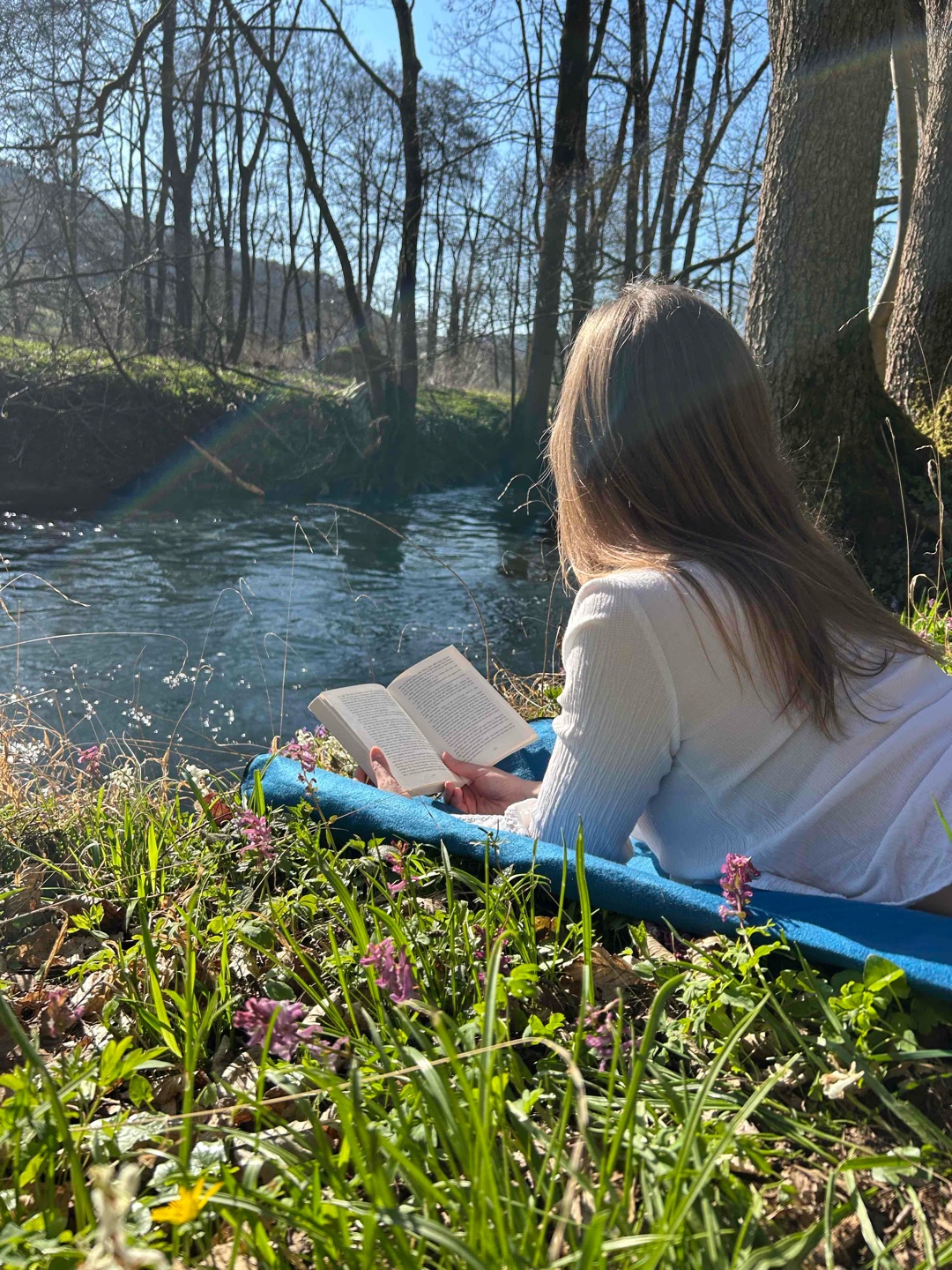 Dieses Buch ersetzt einige Bücher  💭🧠✨