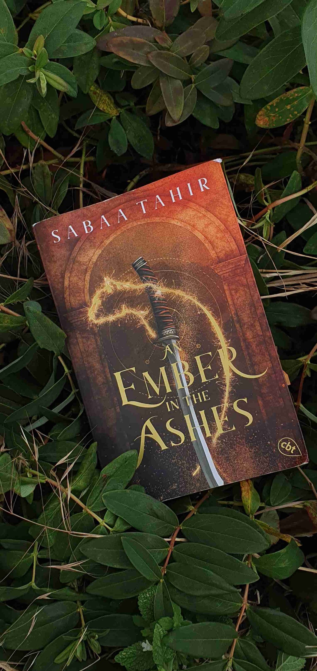 Das beste Buch der Welt 🔥📖💍😍
Für alle, die ein entsprechende Brutalität aushalten (Triggerwarnung unten) und Fantasy/Romantasy mögen ein absolutes Muss. Düster, spannend und herzzereißend verpackt Sabaa Tahir Tiefe und überwältigende Emotionen in eine brutale und doch wunderschöne Welt, die man am liebsten niemals verlassen möchte. Mit (leider 🥲😂) durchaus frustrierenden Passagen verwebt sie eine einzigartige Lovestory aus zwei Menschen, die eigentlich Feinde sein sollten, in aussichtslose Situationen mit überraschenden und immer guten Plot Twists. Für mich:
Das beste Buch der Welt ❤️🔥💍 