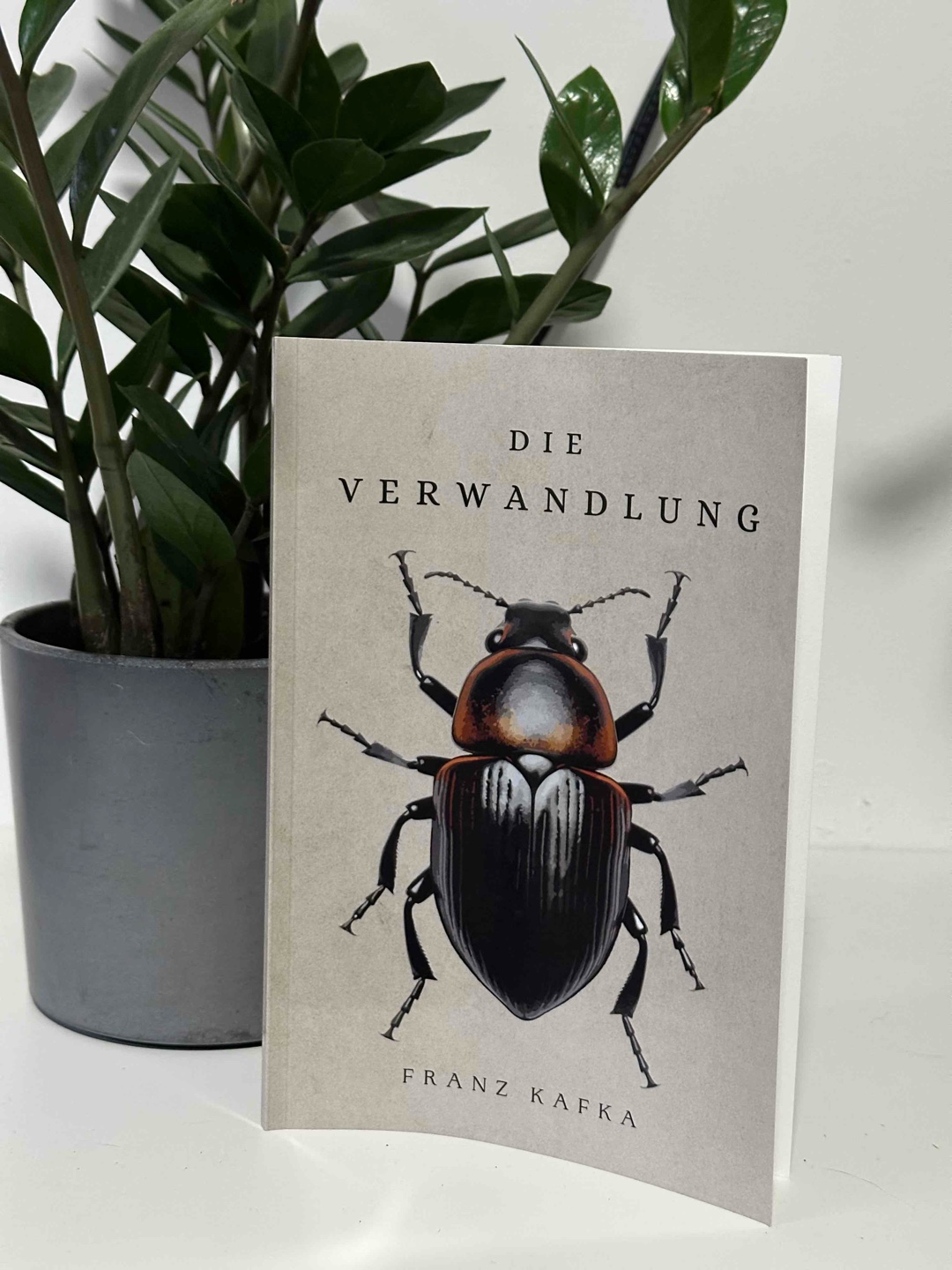 Beeindruckend, auch wenn es nicht immer leicht war. Kein perfektes Leseerlebnis – aber ein starkes.