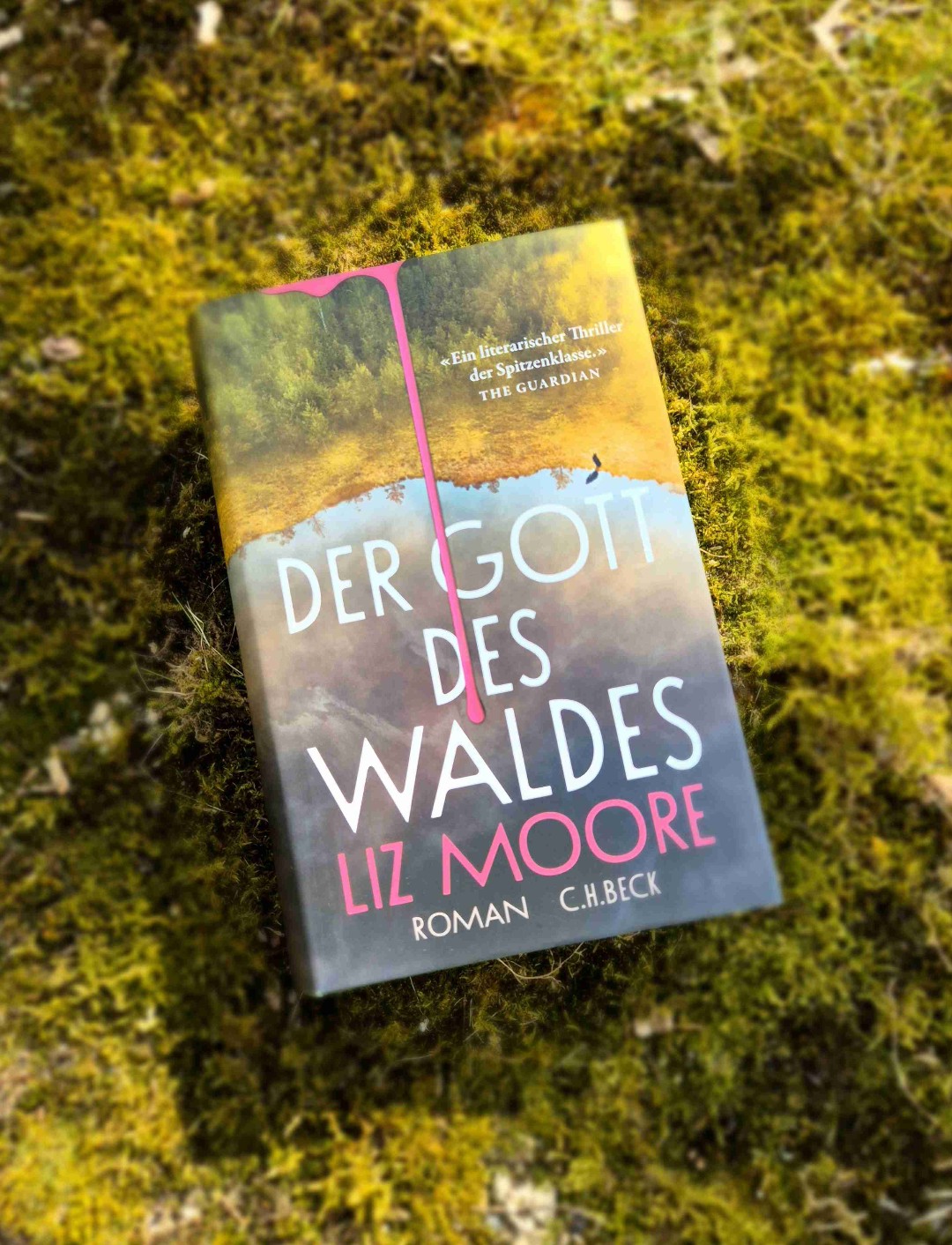 Ein eher langsamer erzählter, aber fesselnder Thriller, perfekt für den Sommer.