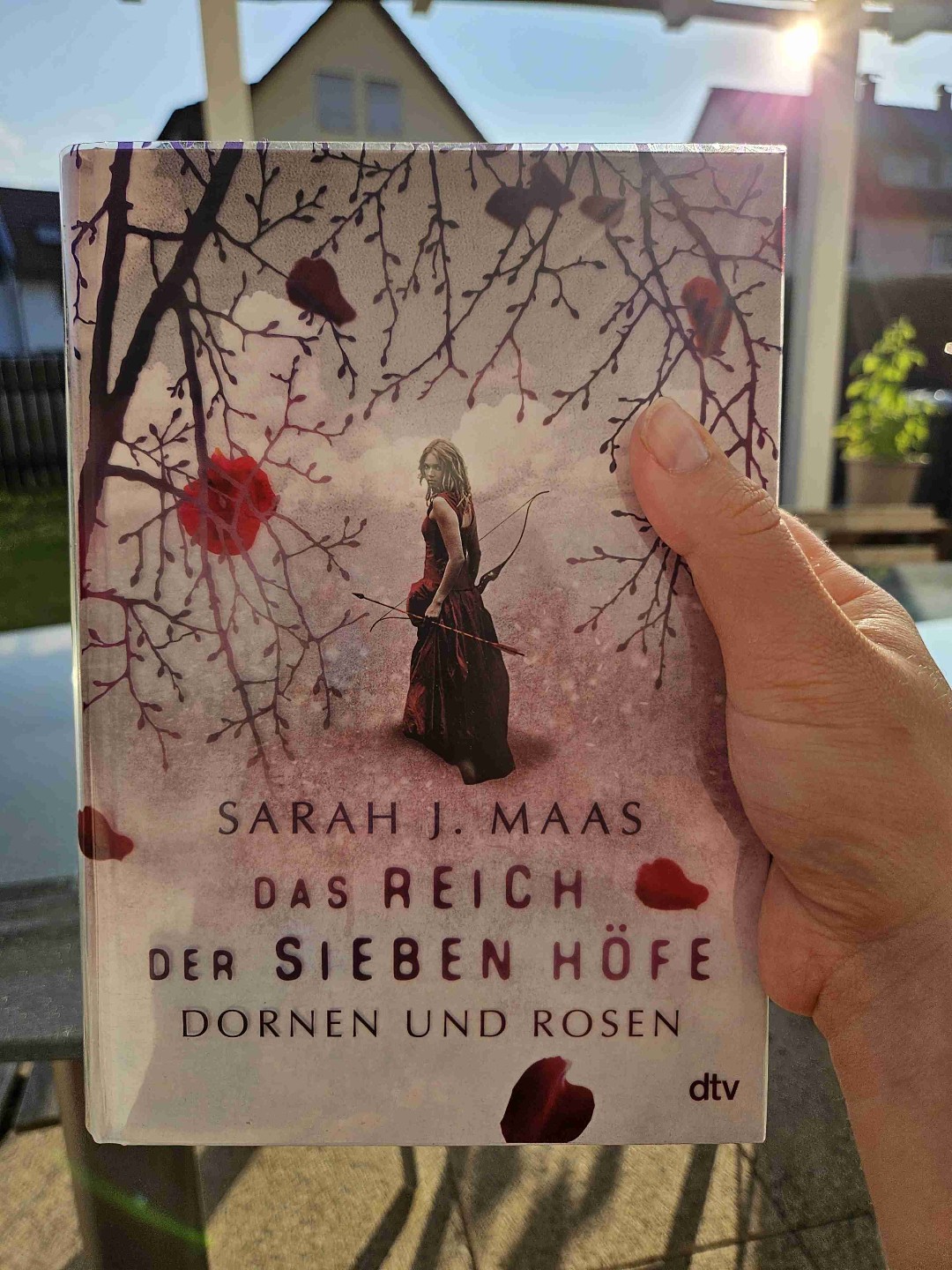 ReRead meines Lesehighlights des letzten Jahres!
