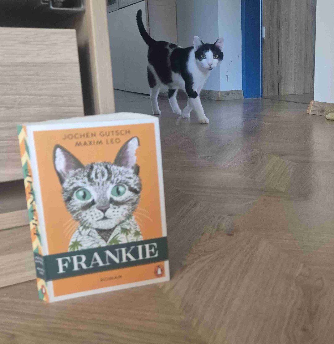 "Leichte lektüre" für zwischendurch ist das definitiv nicht- aber unglaublich berührend und gut!! 👏💞🐈‍⬛