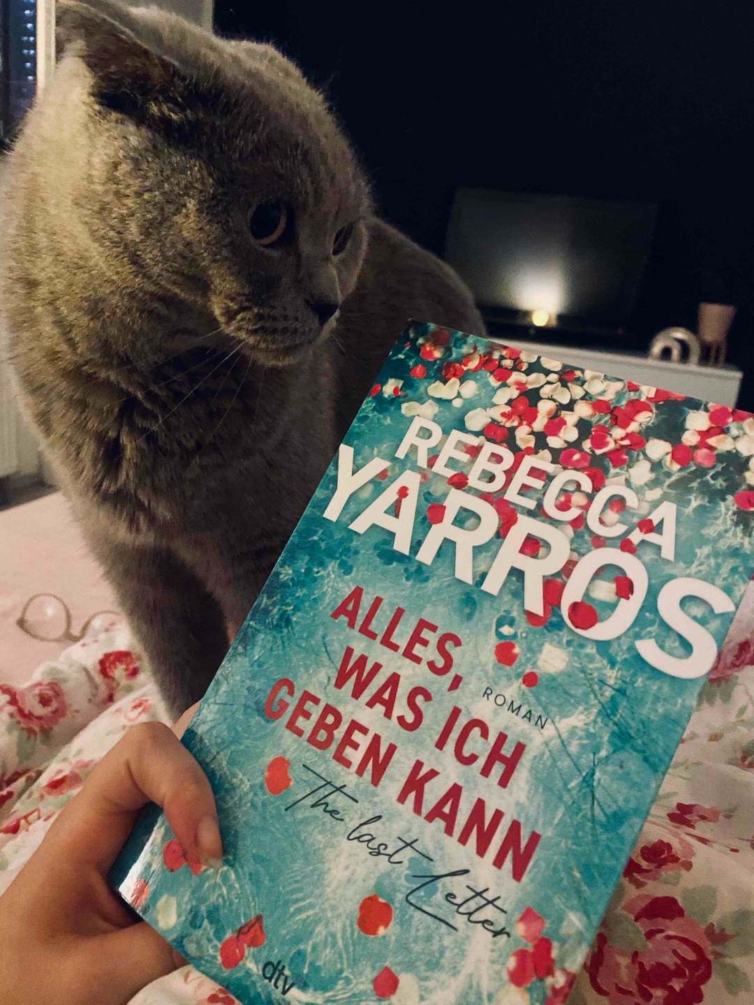 Wie kann ein Buch so traurig und herzzerreißend sein? 💔